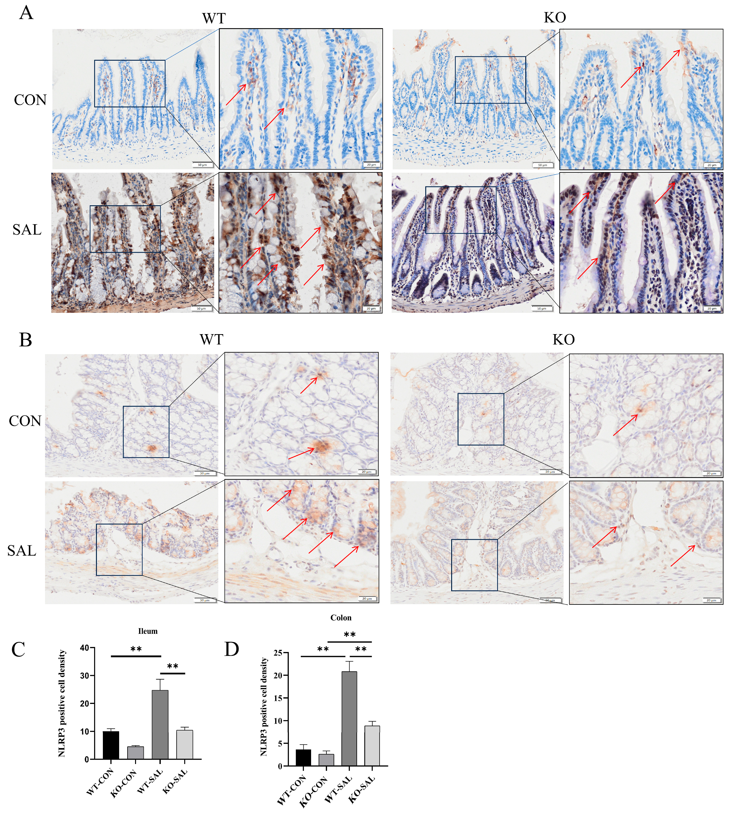 Microorganisms 13 01267 g005