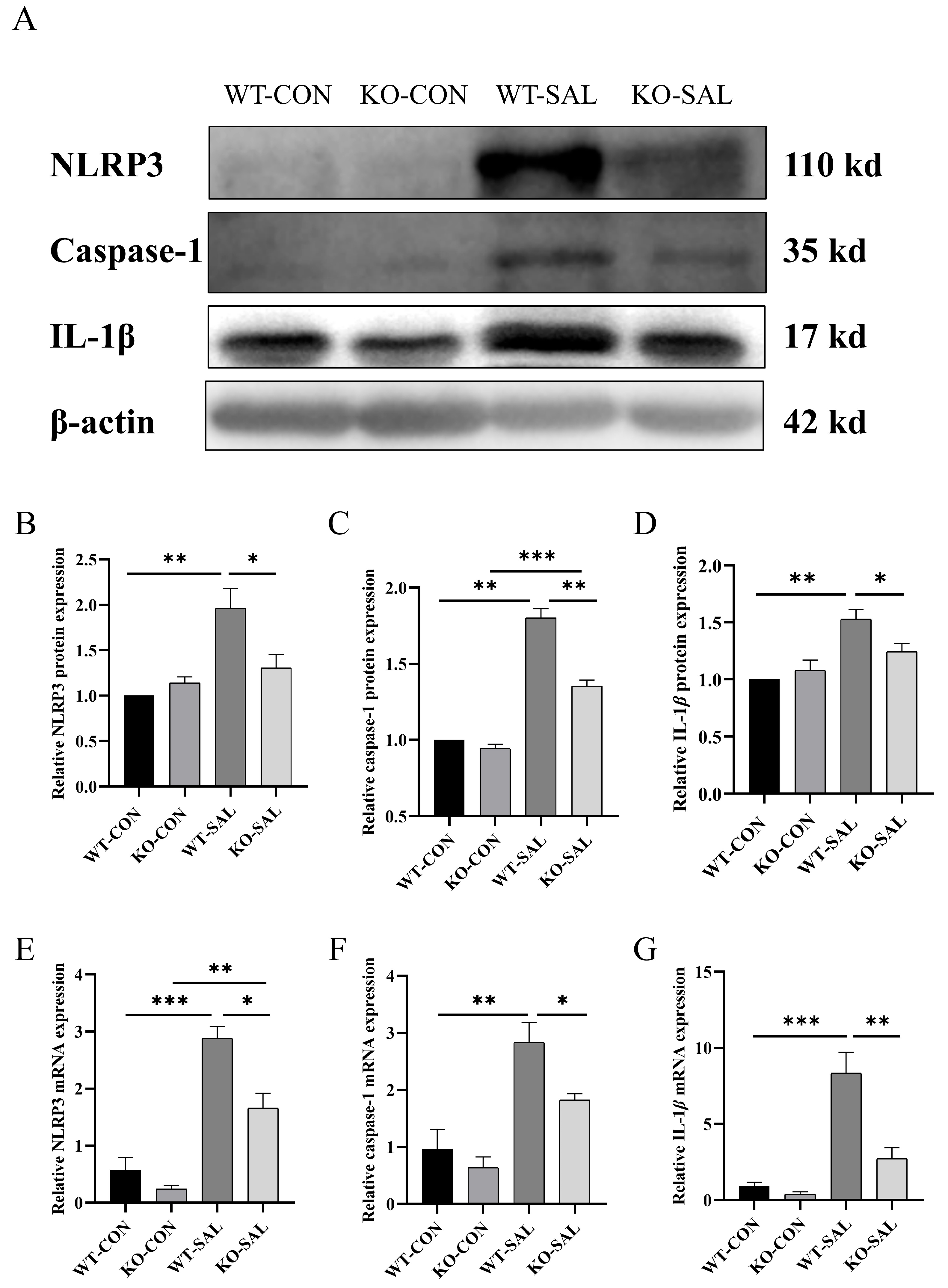 Microorganisms 13 01267 g006