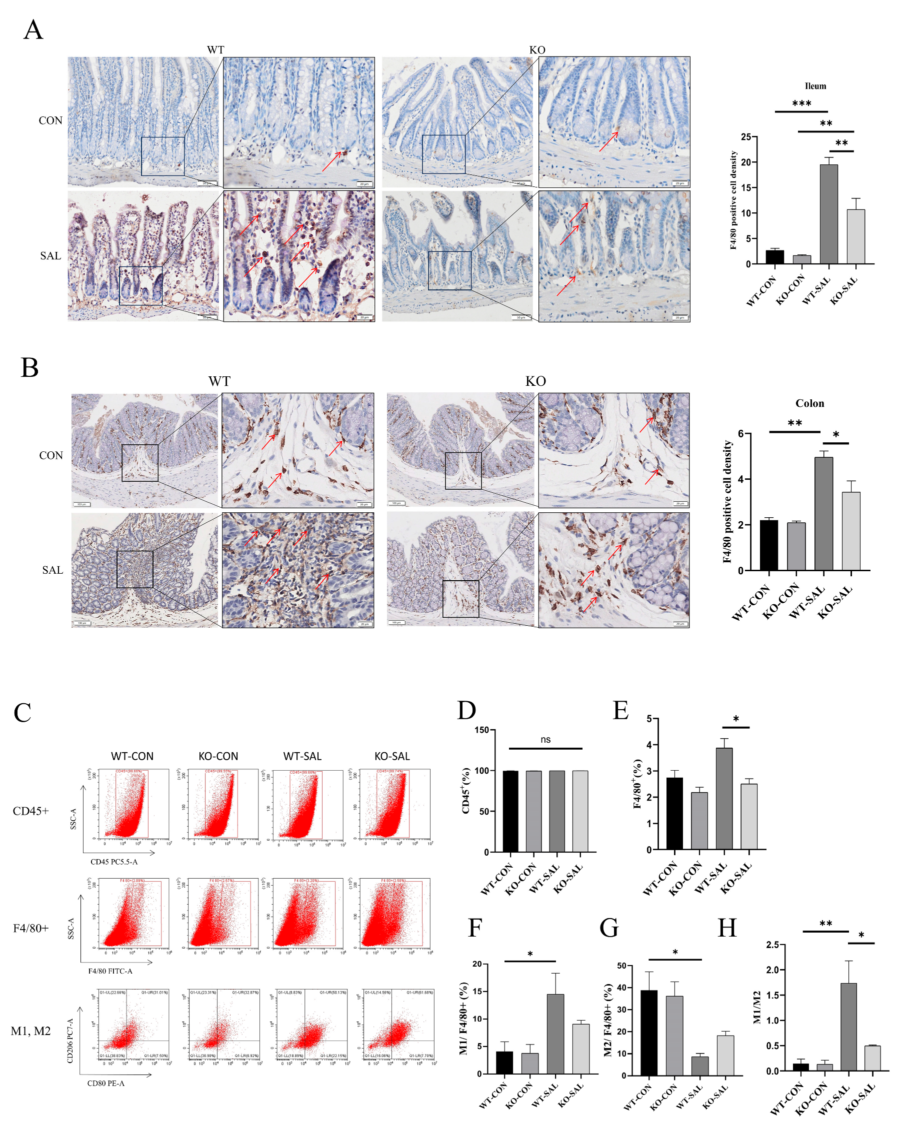 Microorganisms 13 01267 g007