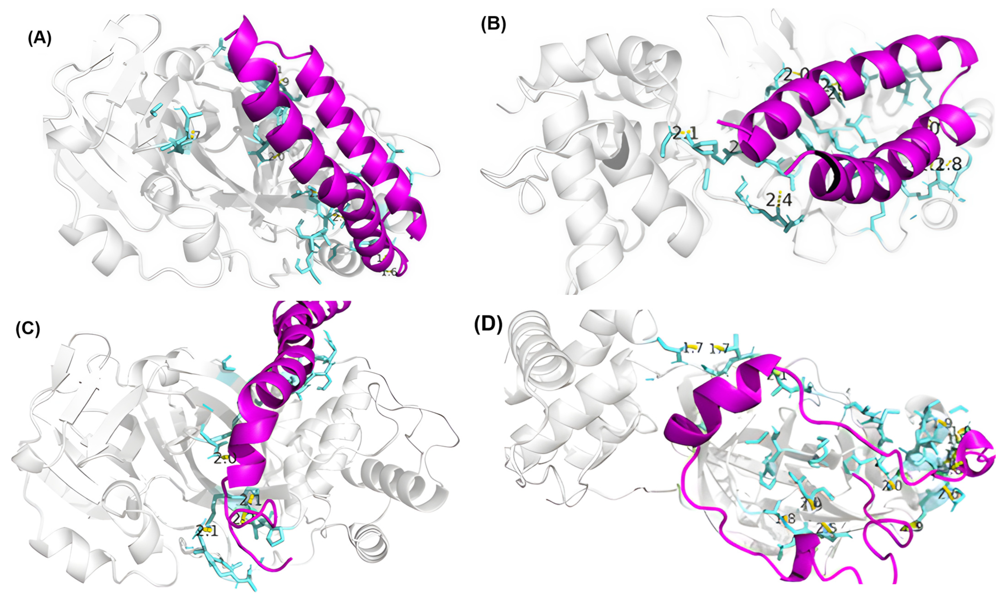 Microorganisms 13 01271 g002a