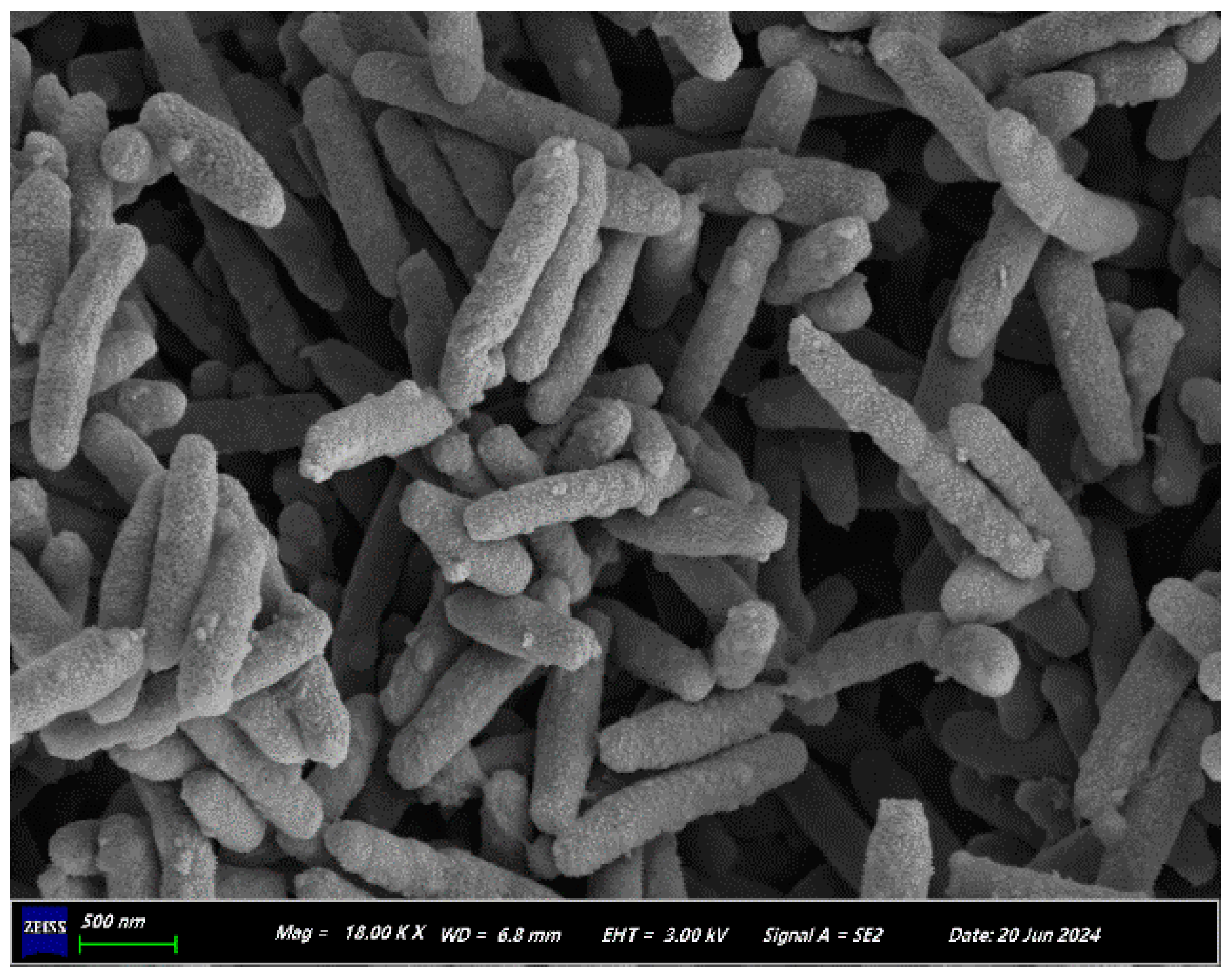 The Aerobic Denitrification Characteristics of a Halophilic