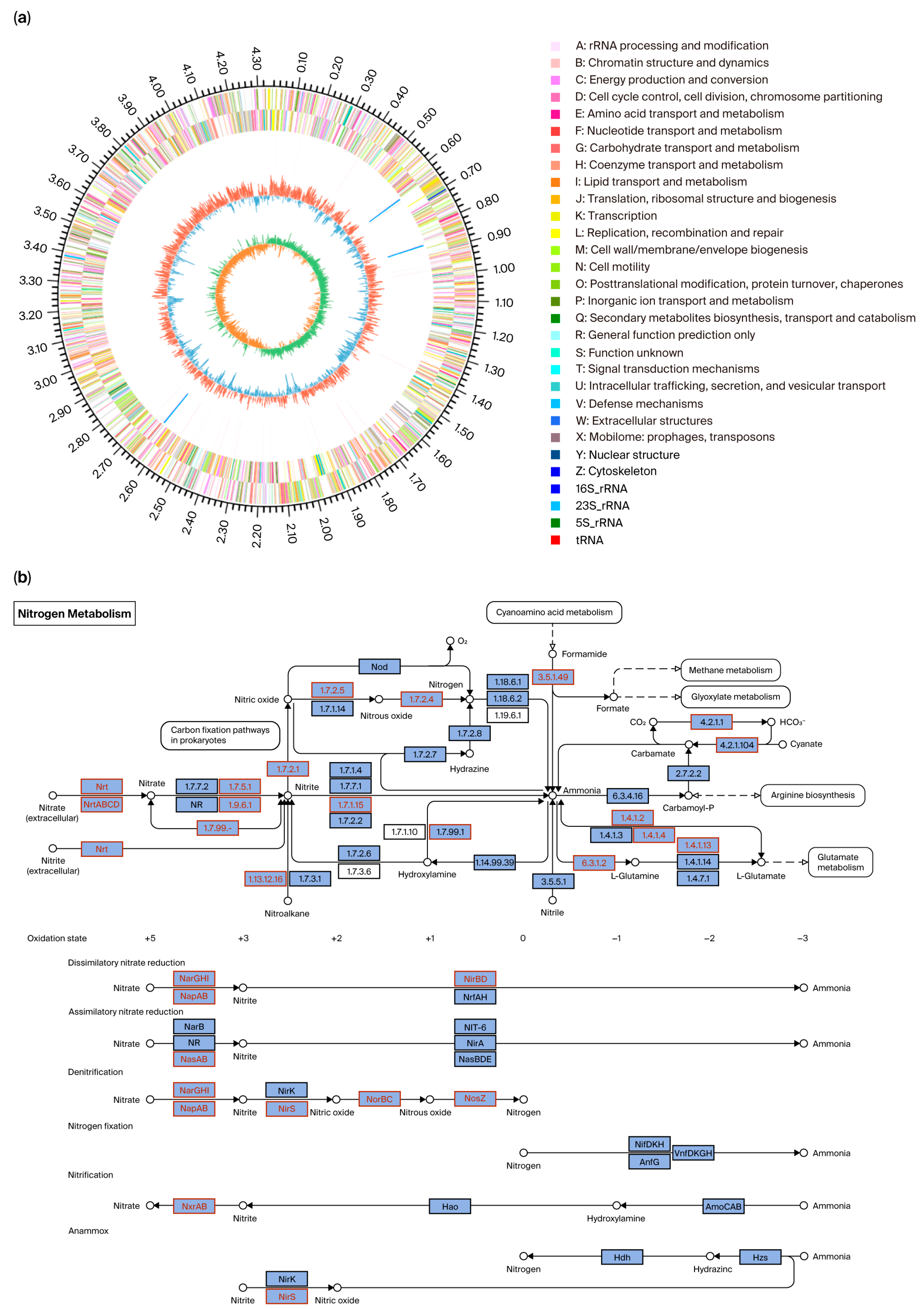 Microorganisms 13 01274 g002