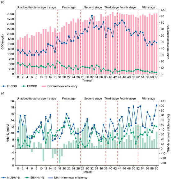 The Aerobic Denitrification Characteristics of a Halophilic
