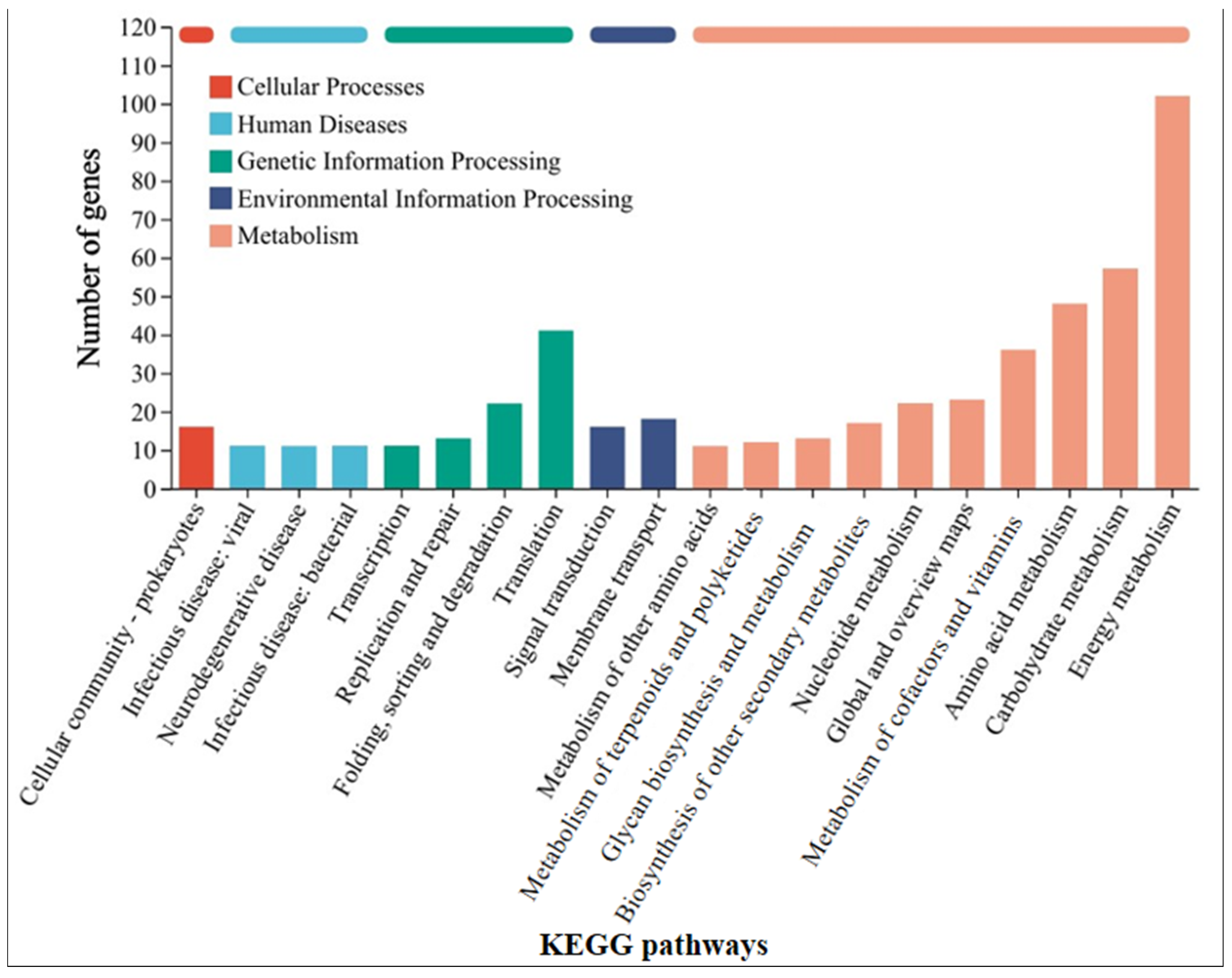 Microorganisms 13 01278 g004