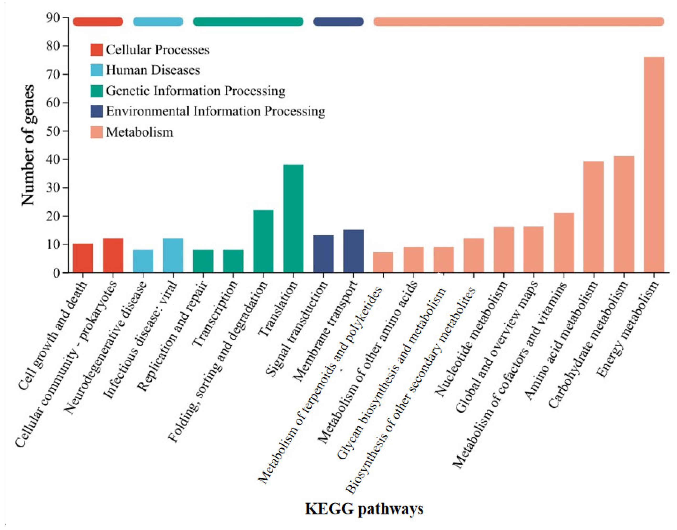 Microorganisms 13 01278 g006