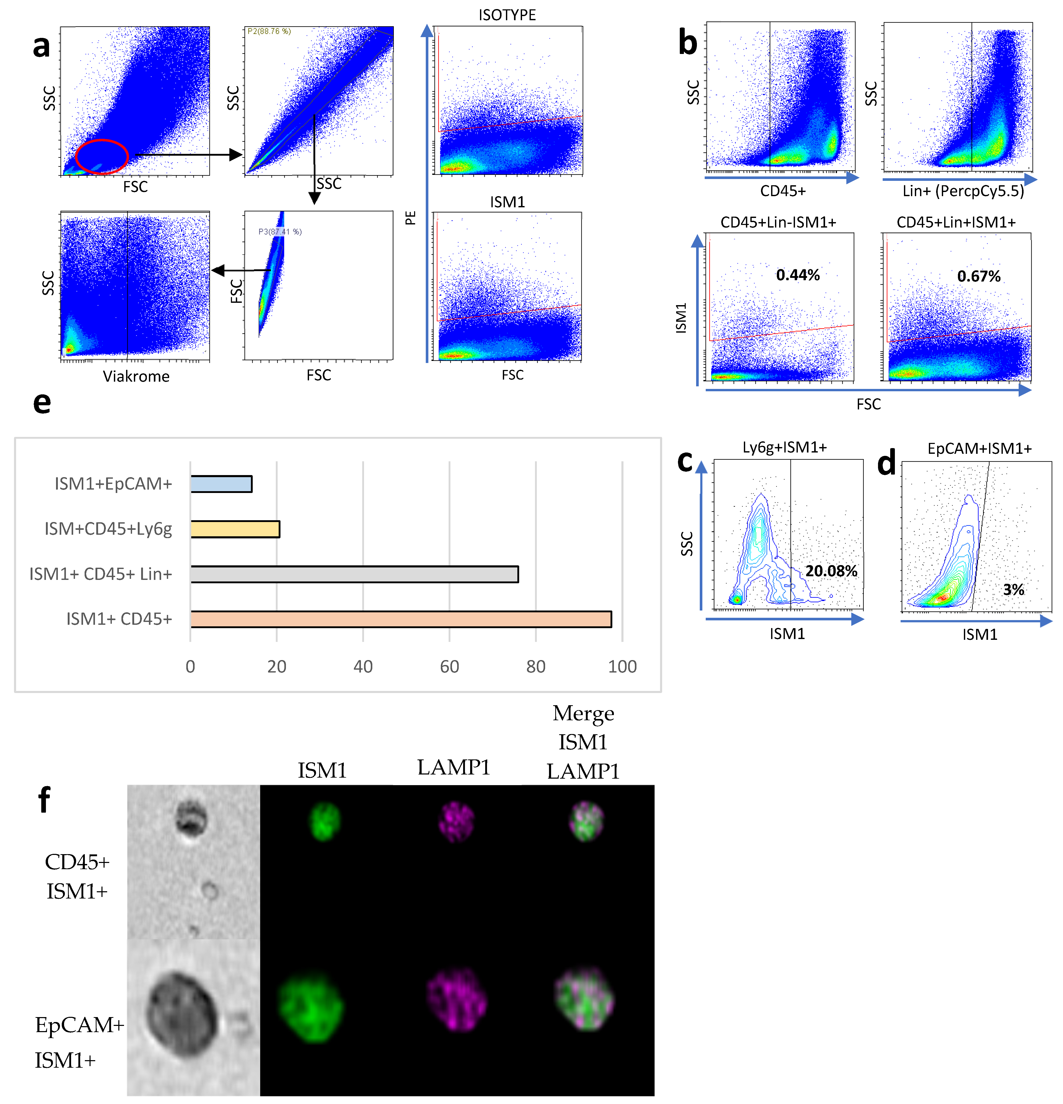 Microorganisms 13 01280 g001