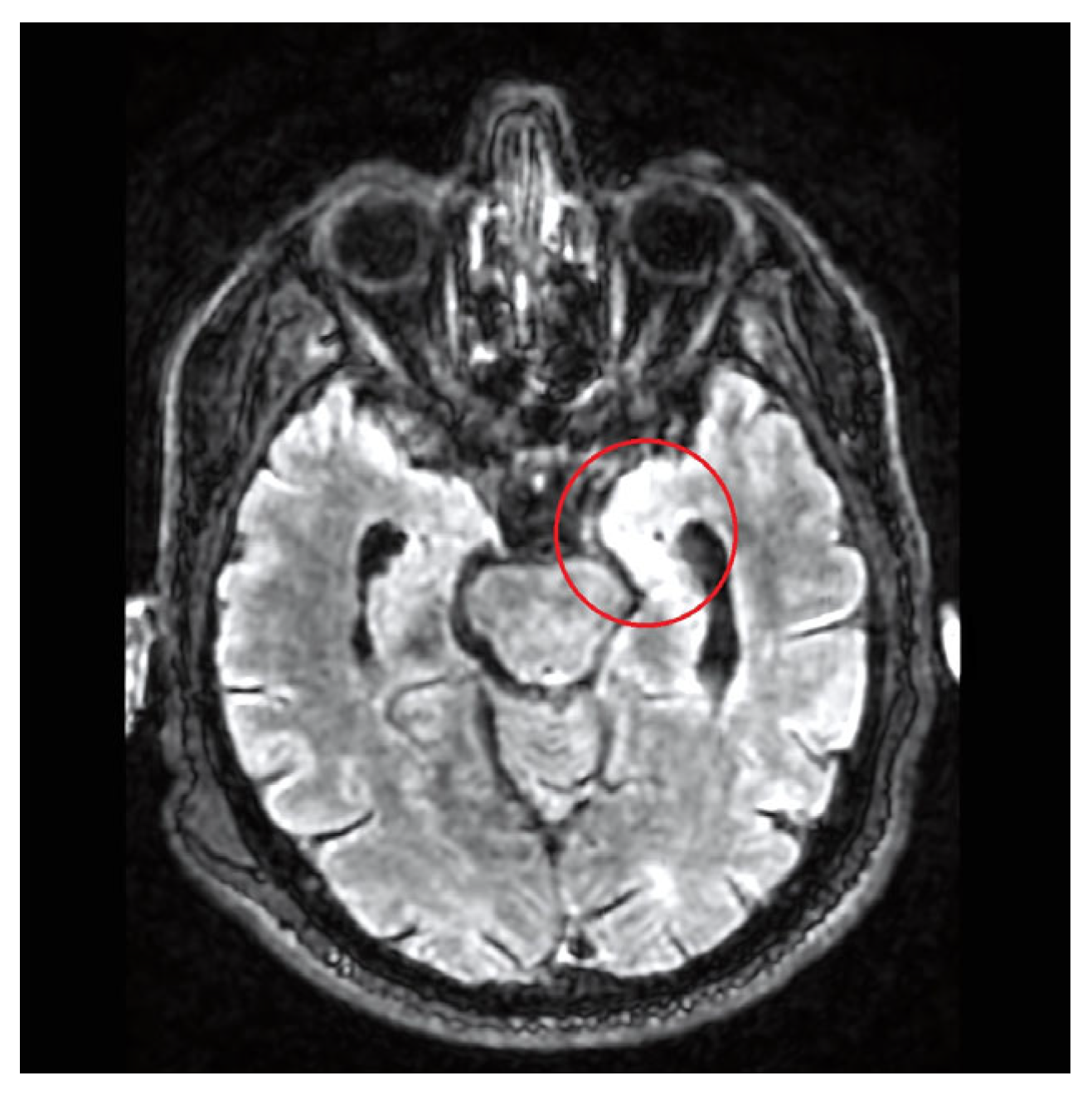 Microorganisms 13 01283 g001