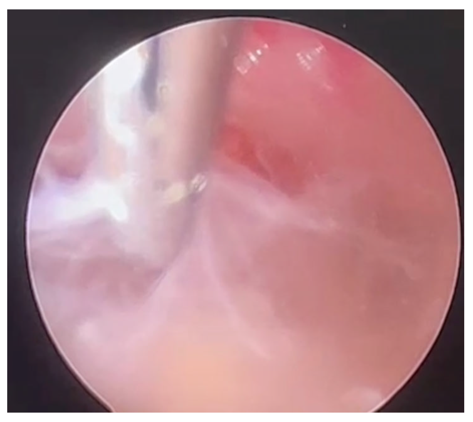 Microorganisms 13 01283 g003