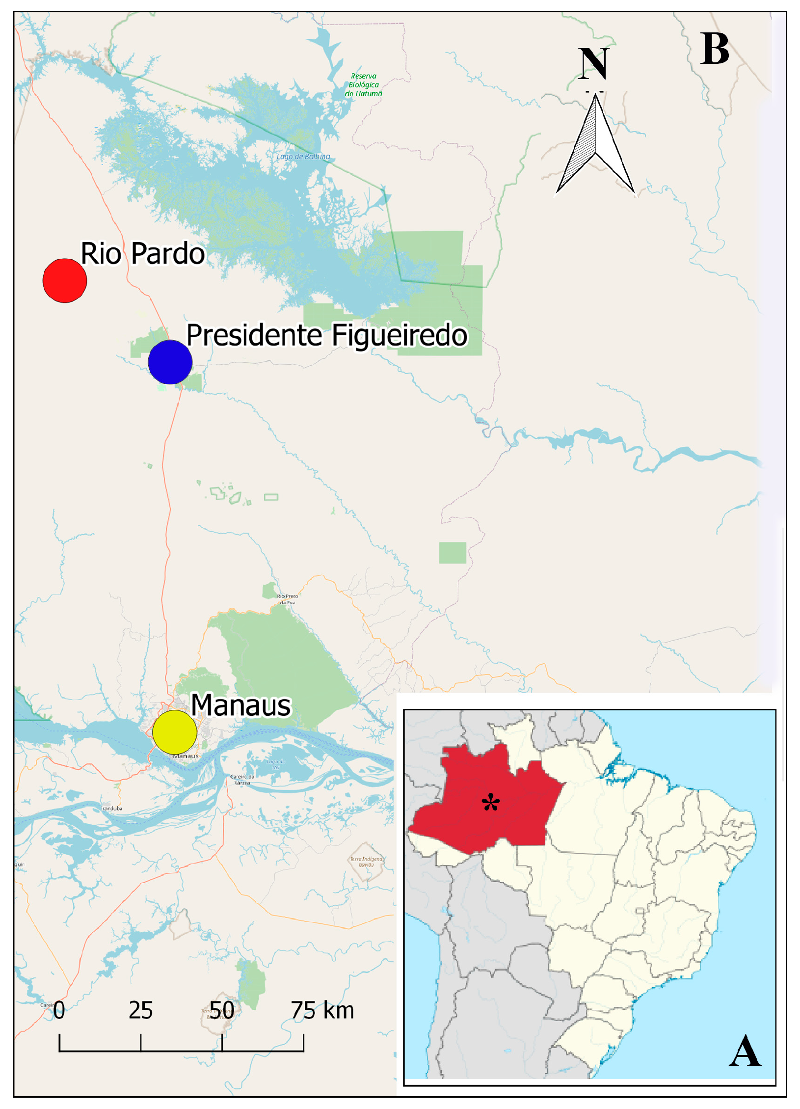 Microorganisms 13 01286 g001
