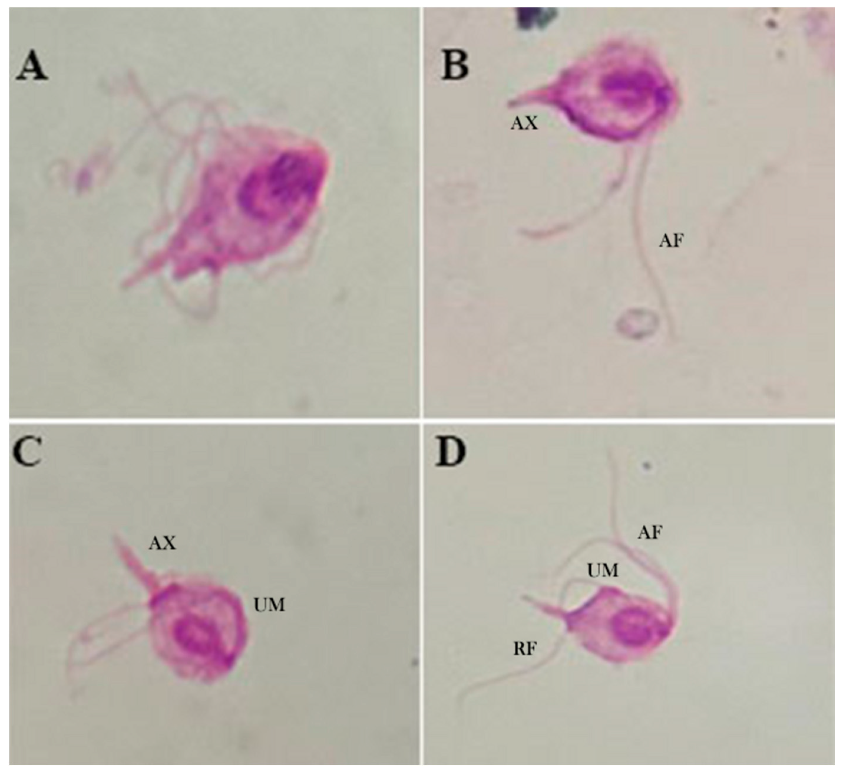Microorganisms 13 01286 g003