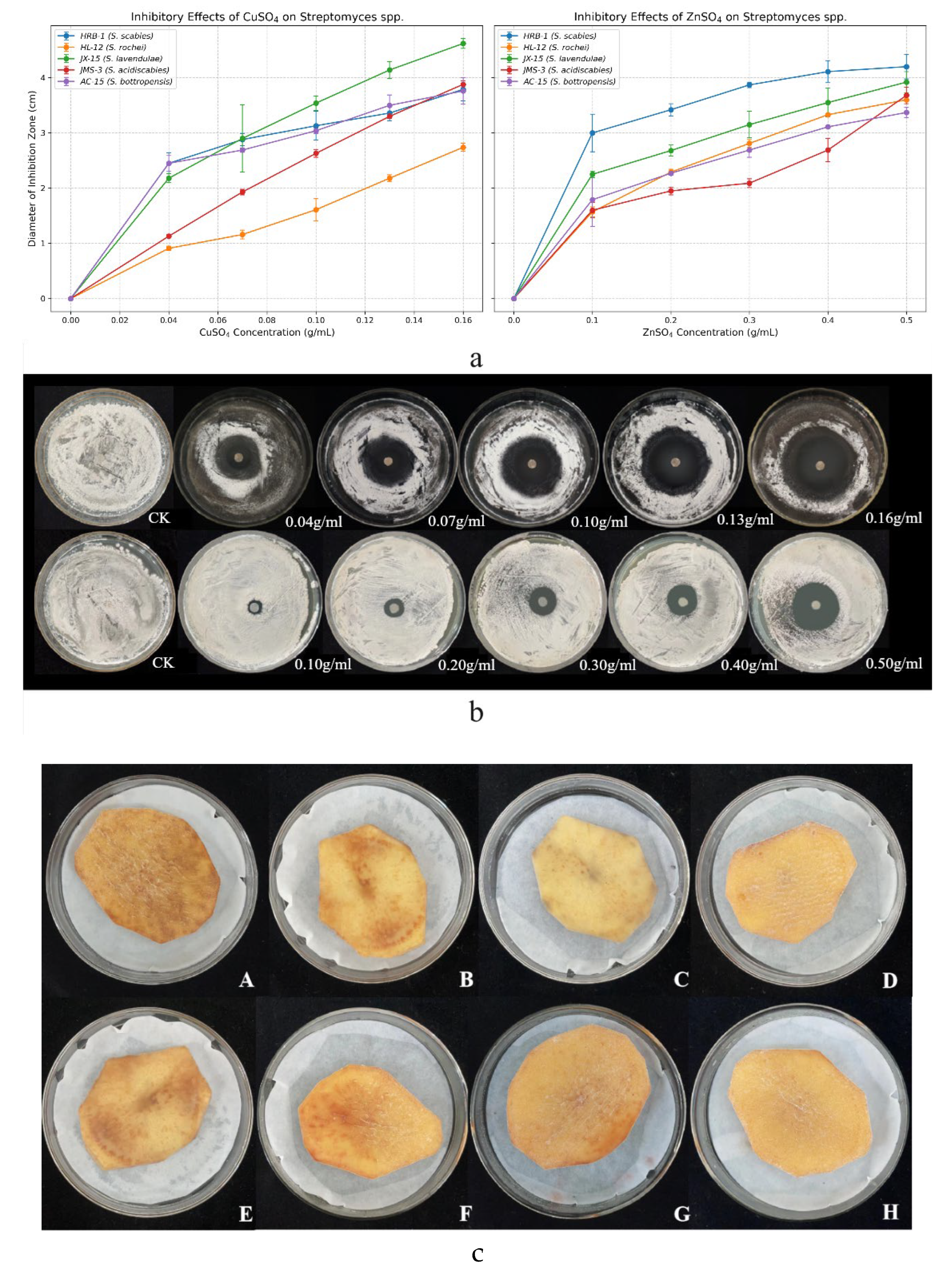 Microorganisms 13 01288 g001