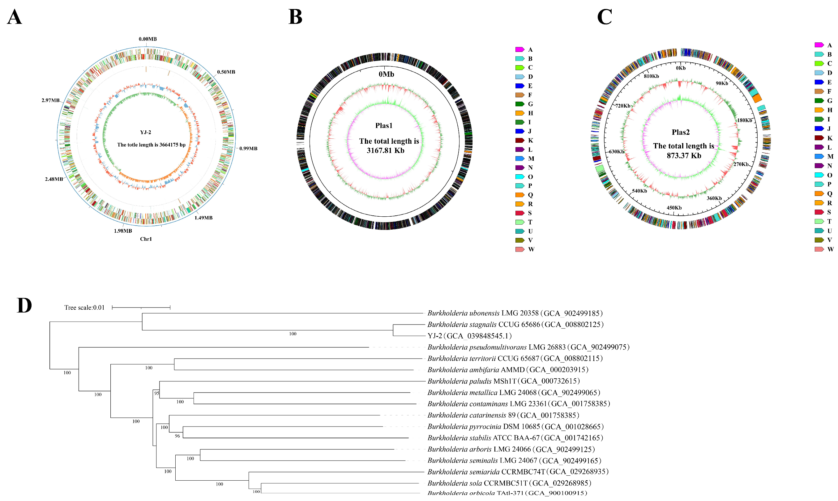 Microorganisms 13 01289 g005