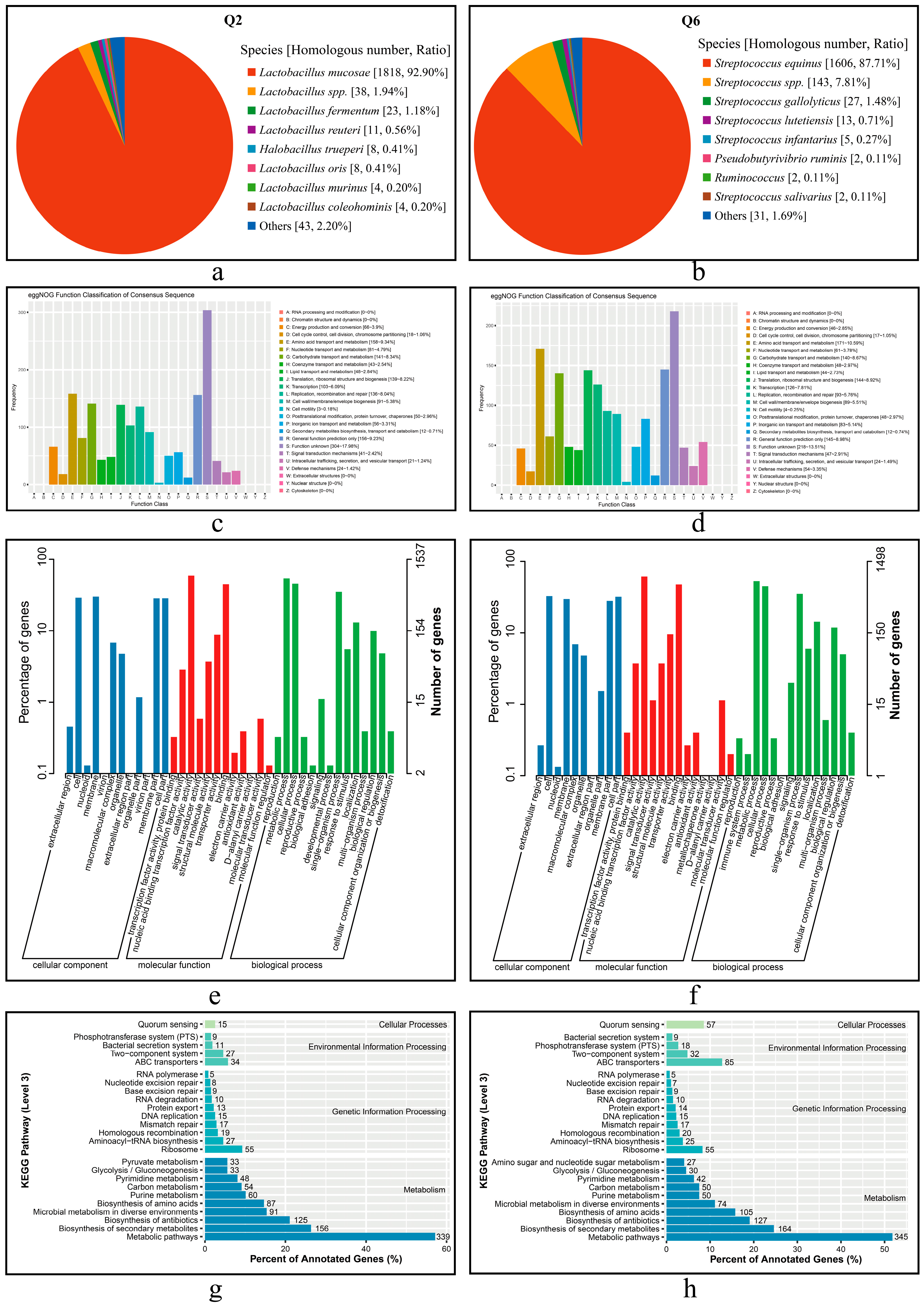 Microorganisms 13 01295 g006