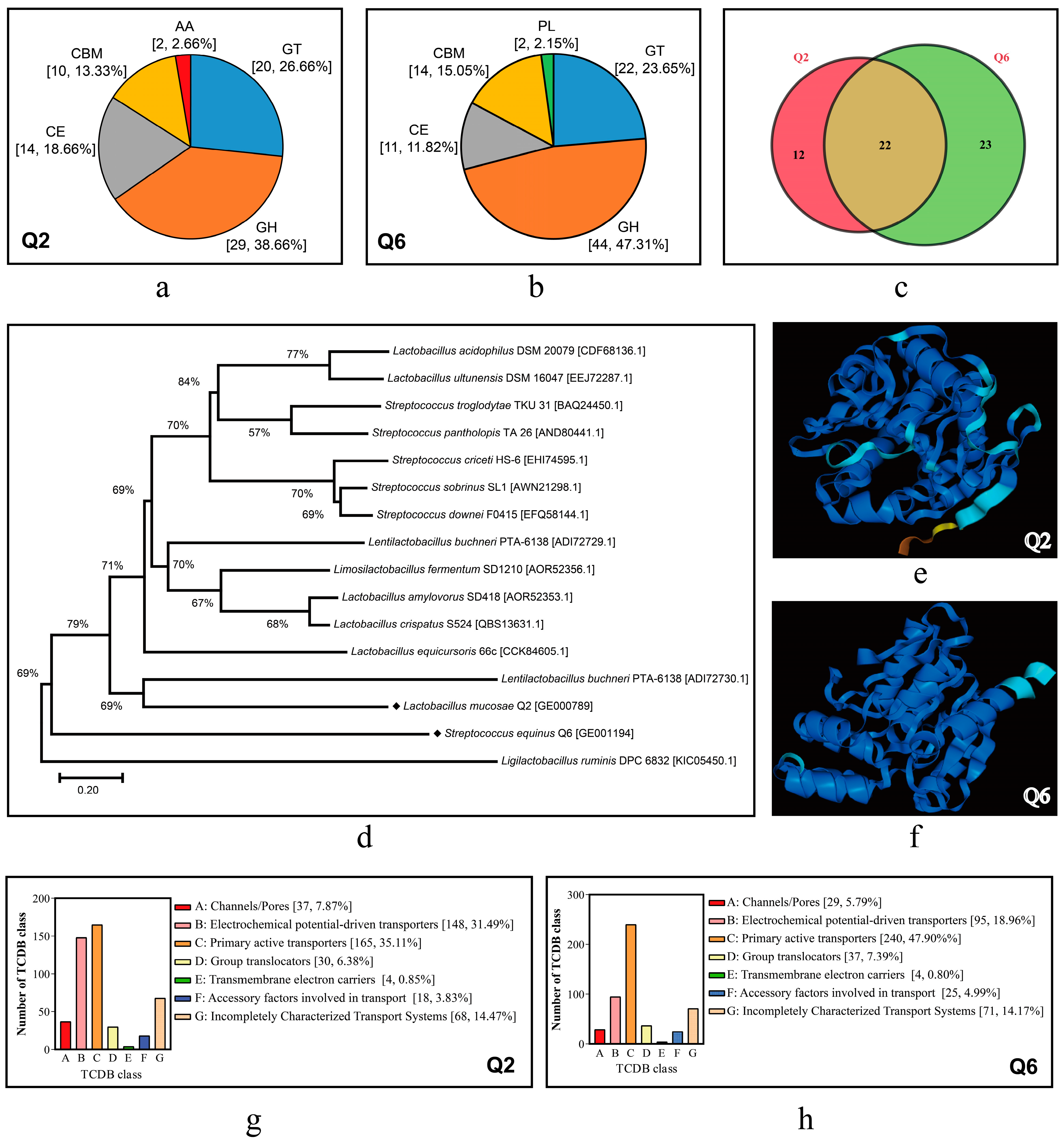 Microorganisms 13 01295 g007