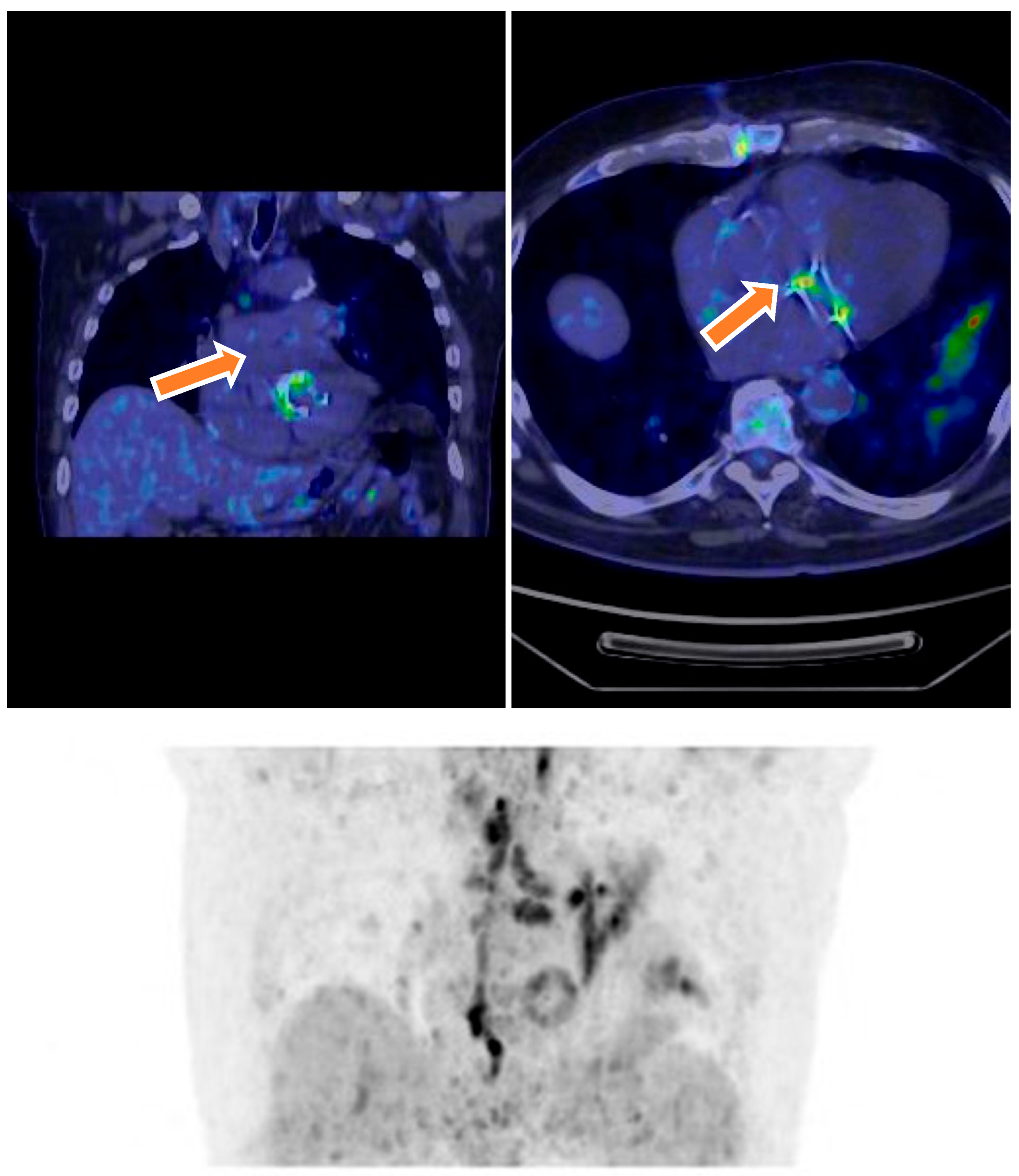 Microorganisms 13 01299 g002