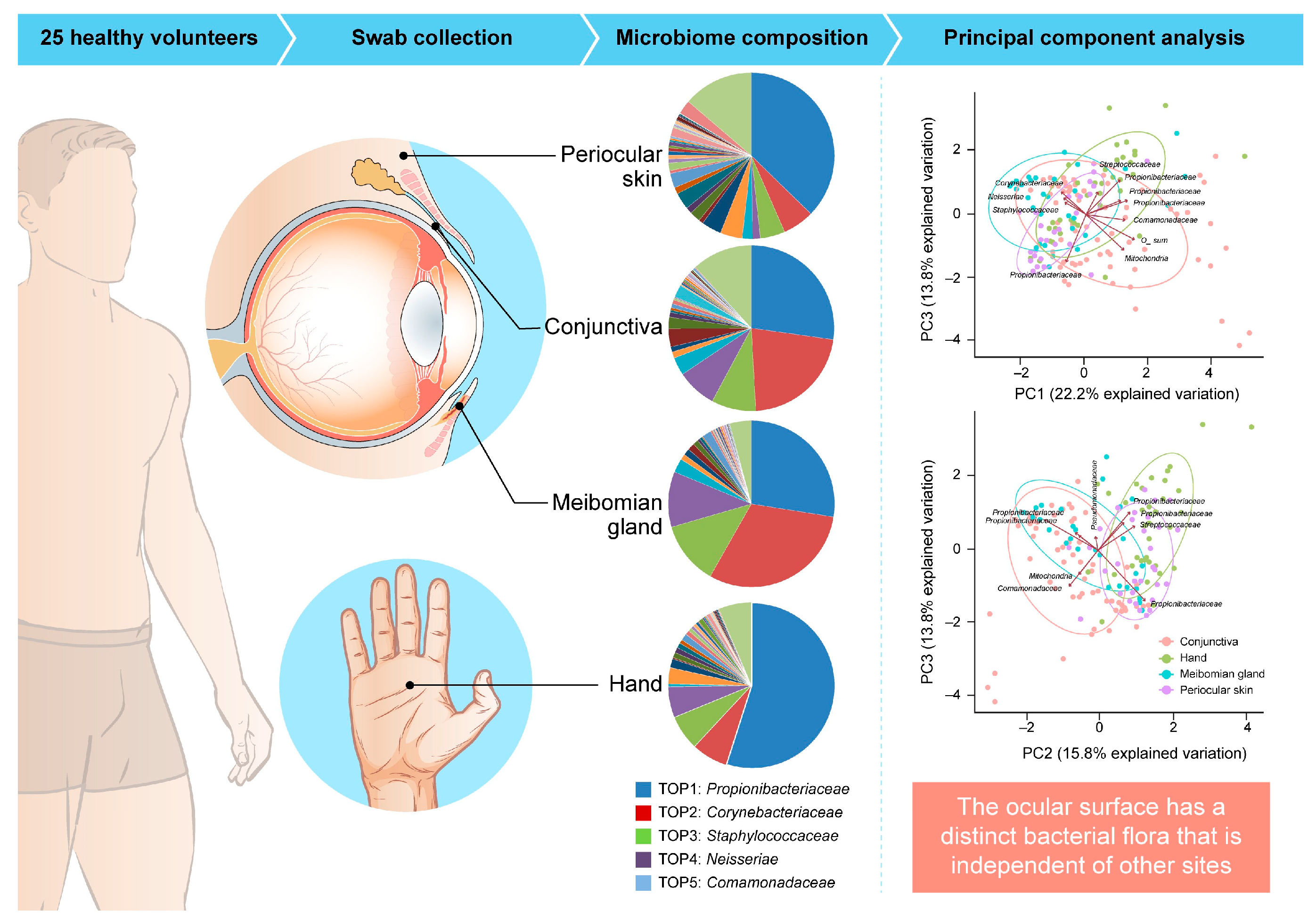 Microorganisms 13 01300 g001