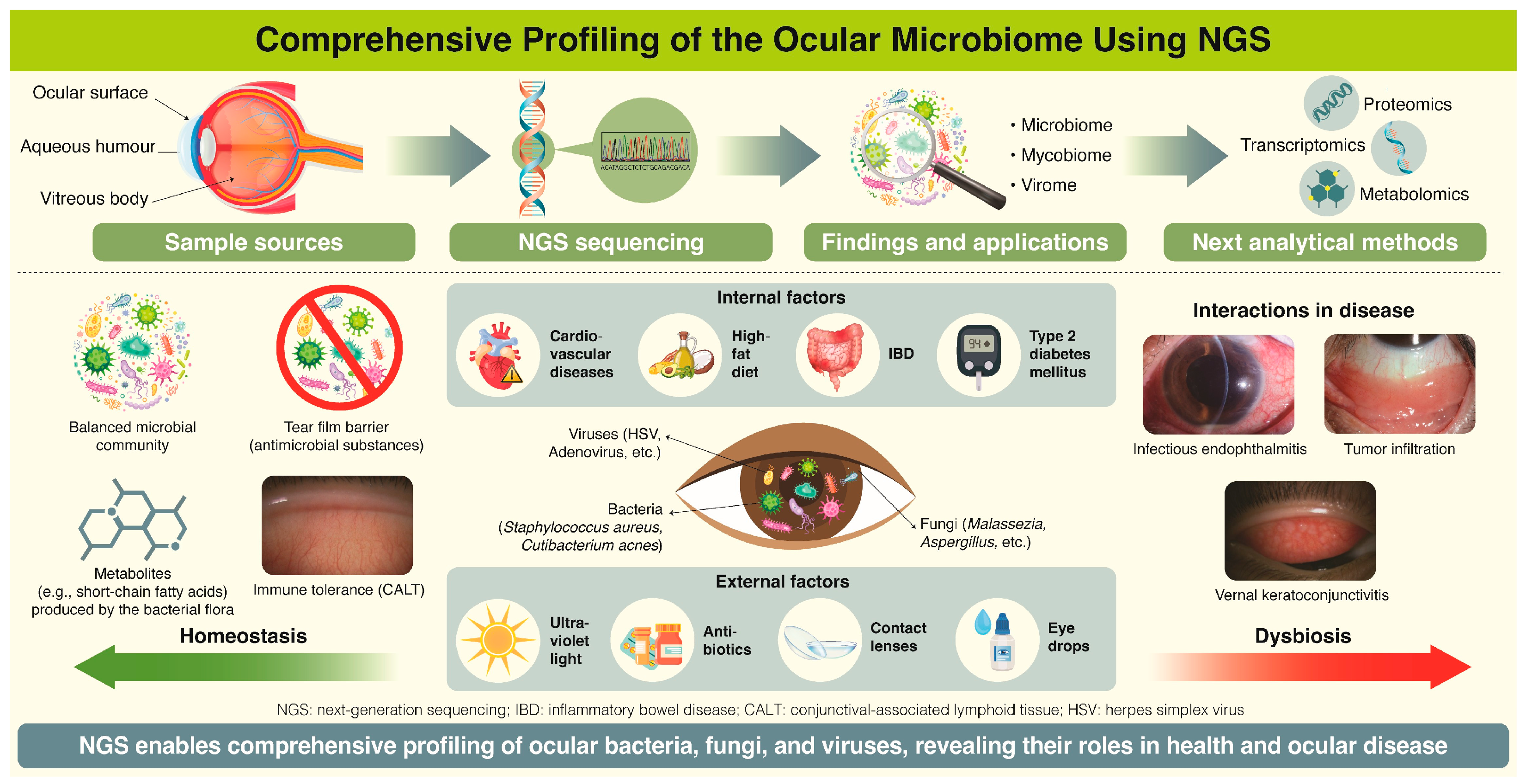 Microorganisms 13 01300 g002