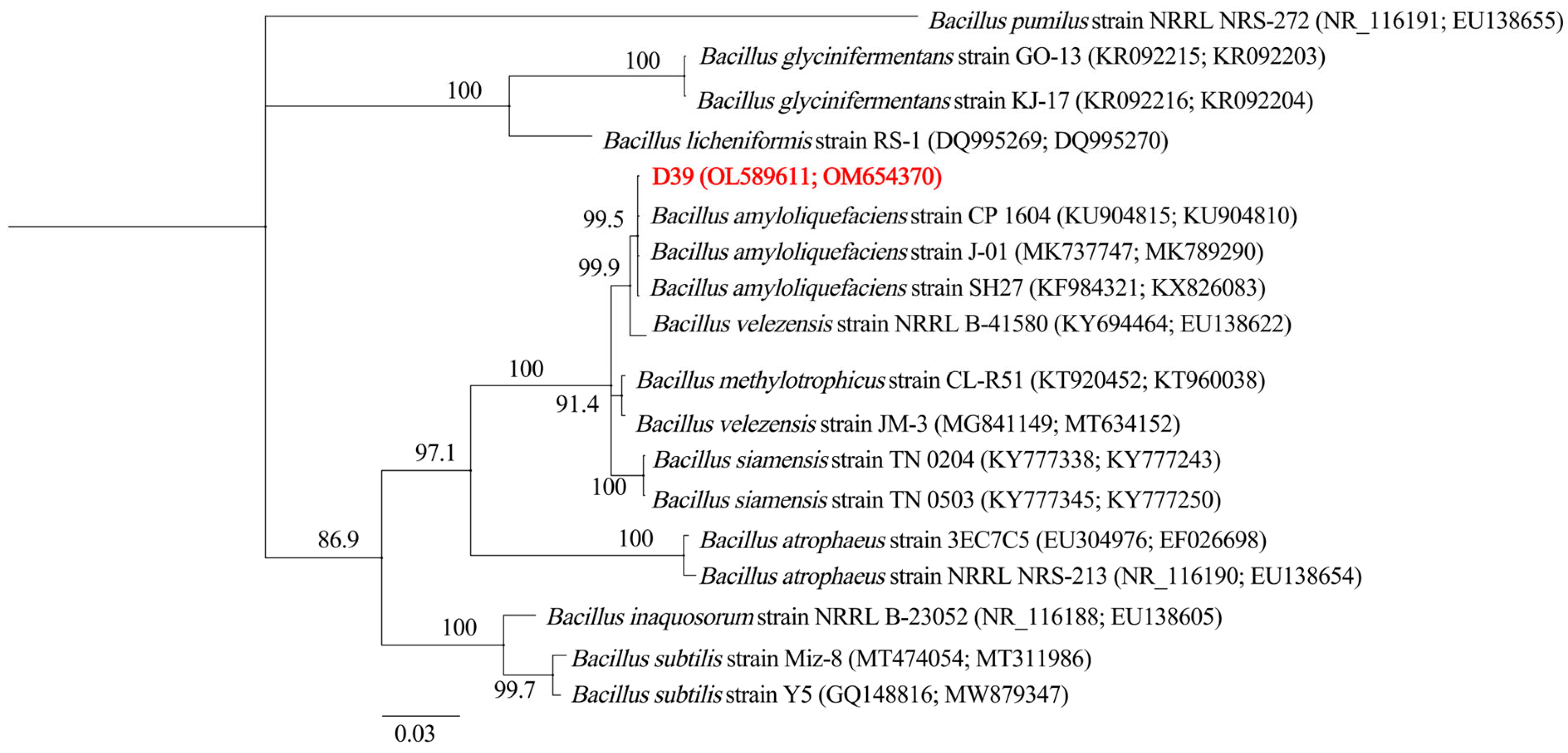 Microorganisms 13 01302 g002