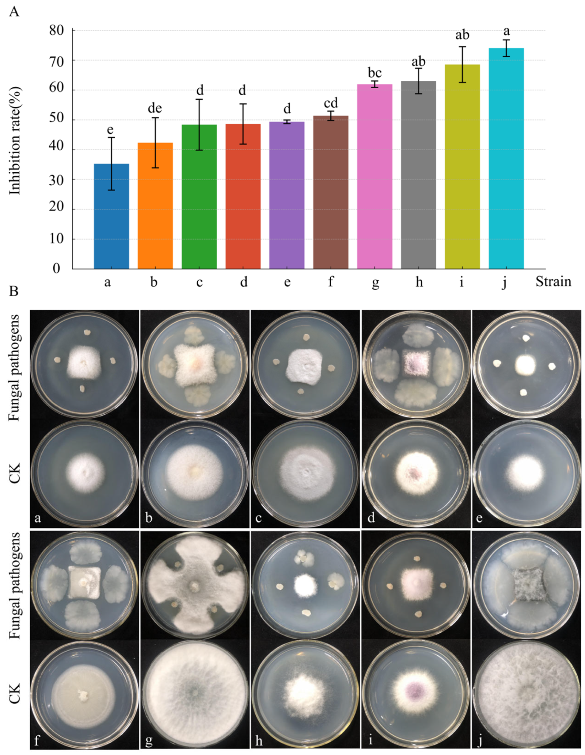 Microorganisms 13 01302 g004