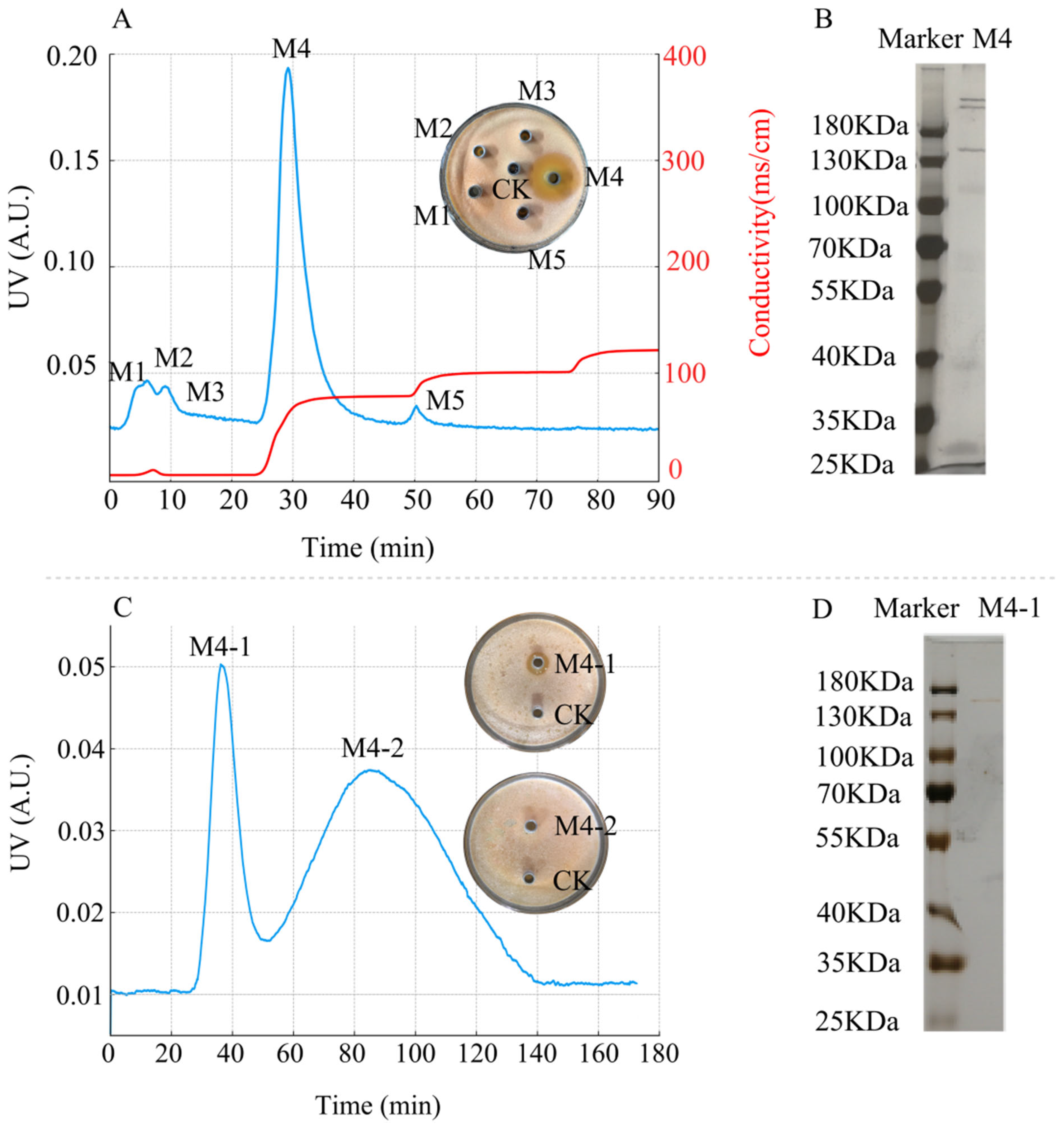 Microorganisms 13 01302 g008