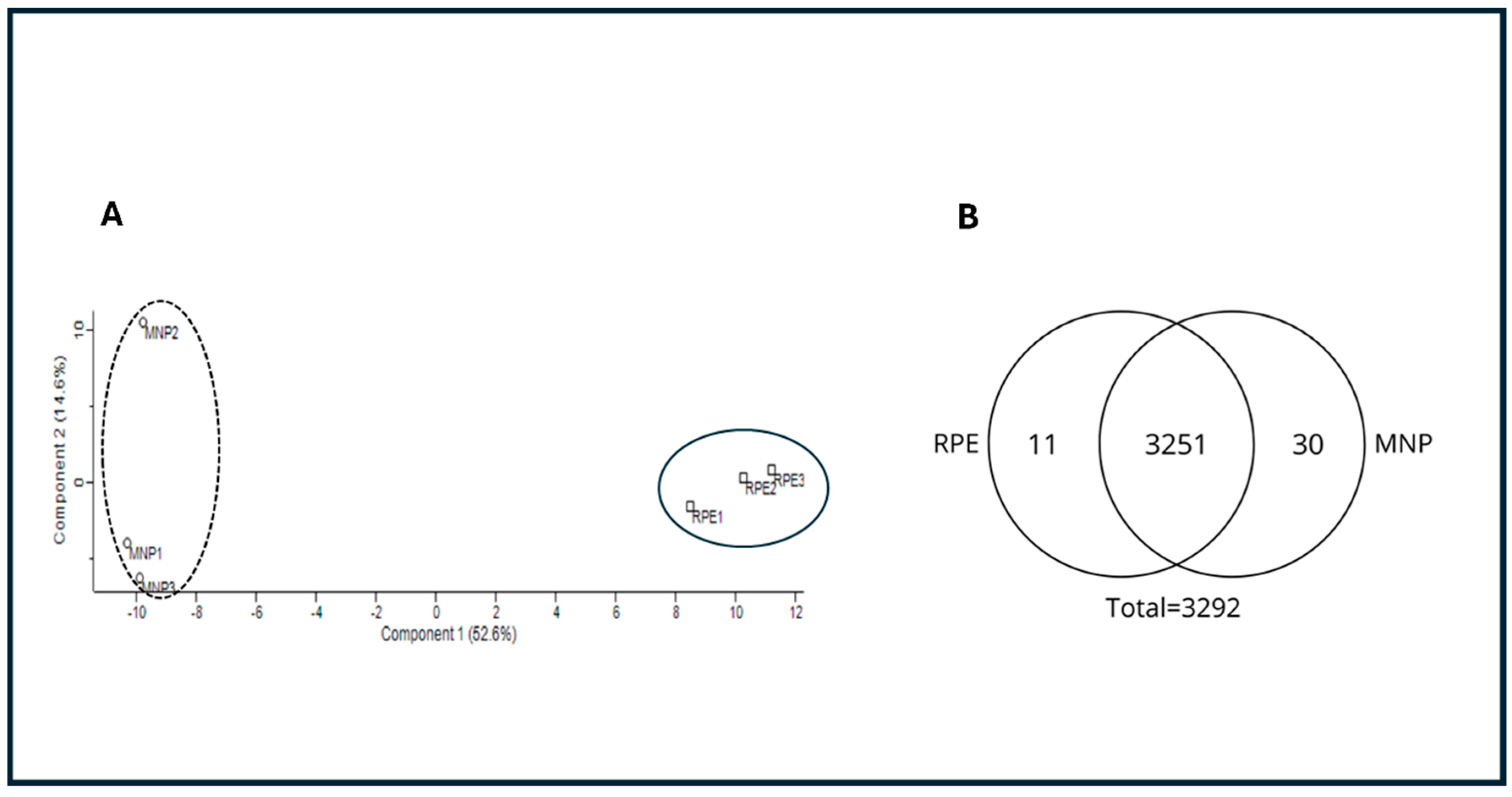 Microorganisms 13 01304 g001