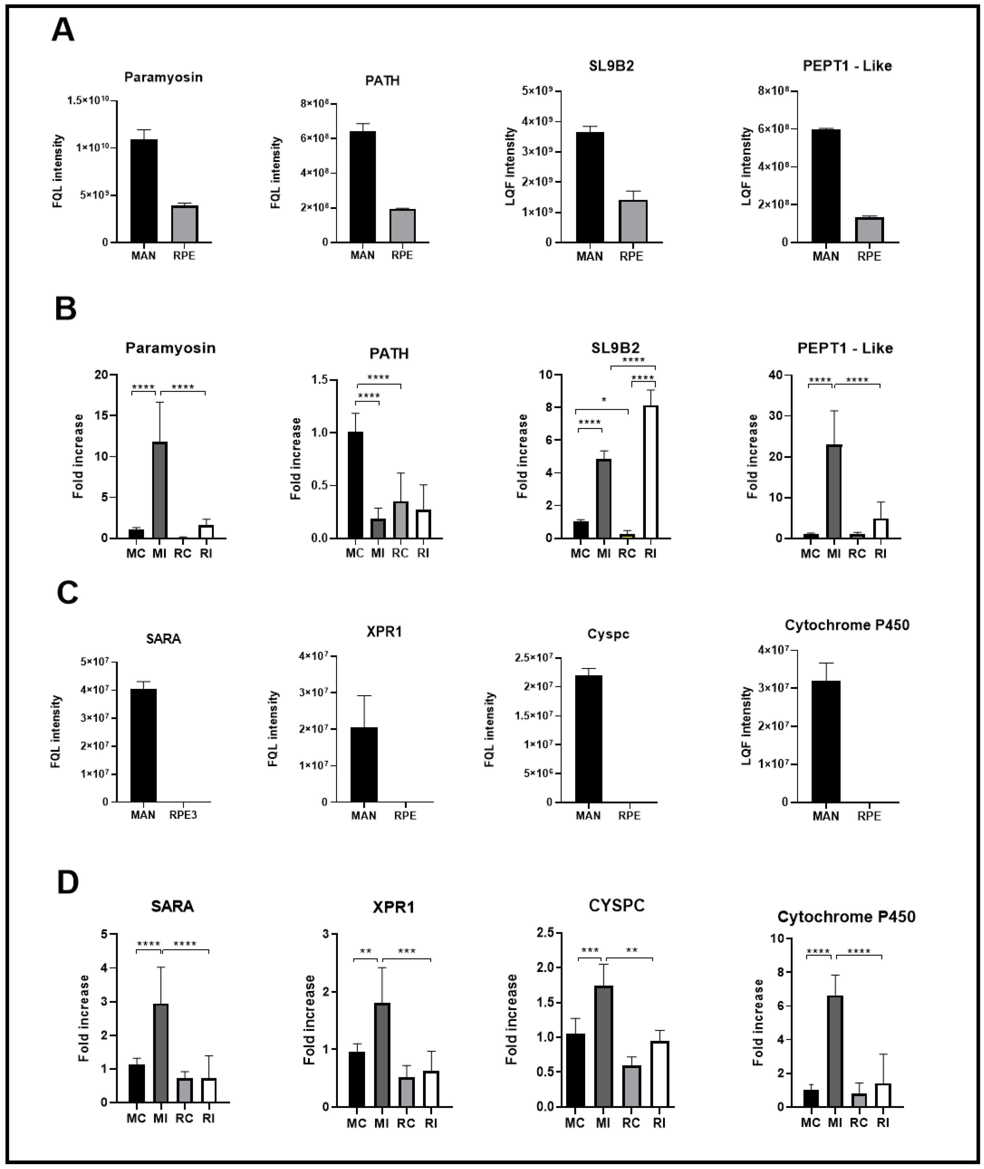 Microorganisms 13 01304 g004