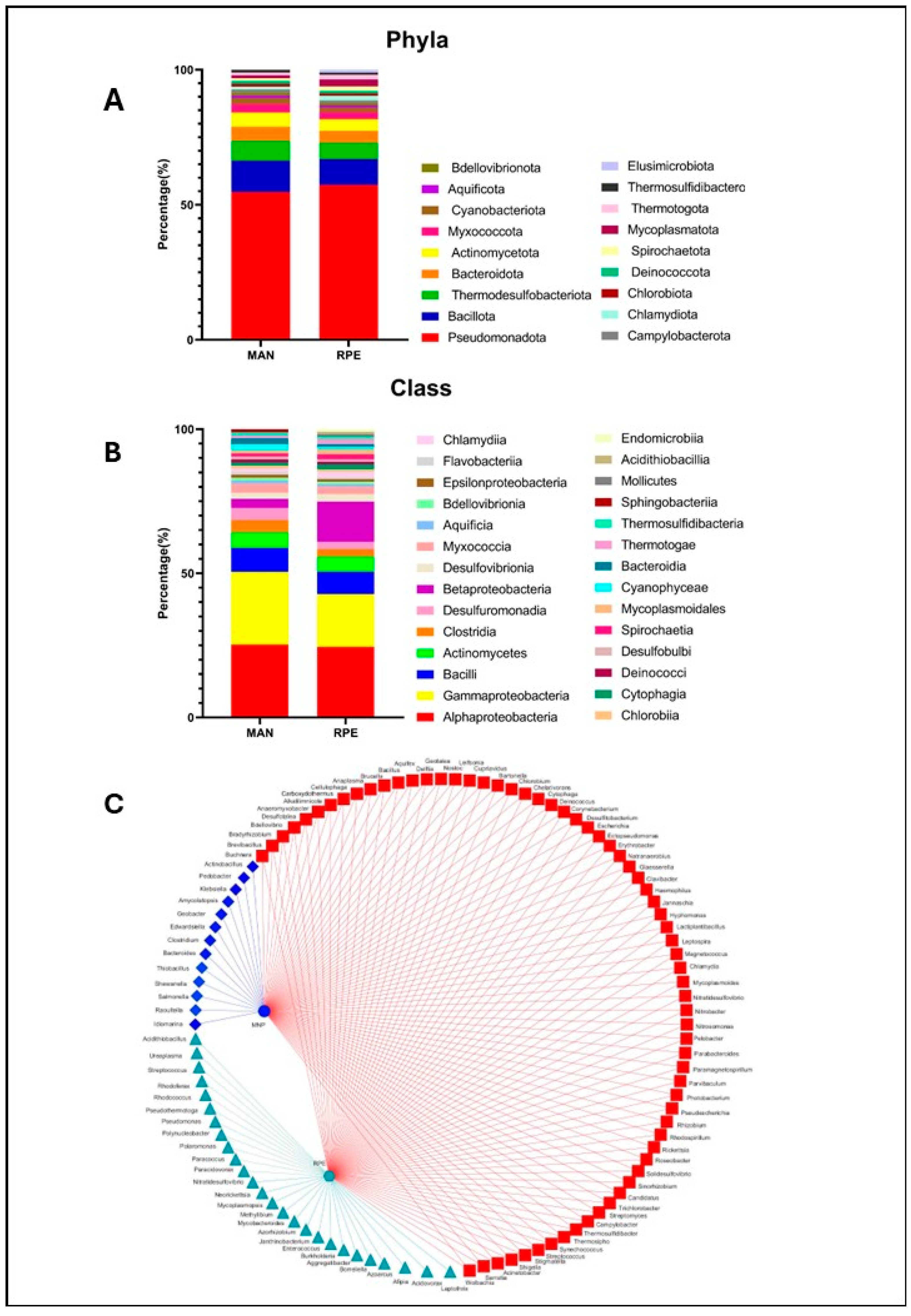 Microorganisms 13 01304 g005