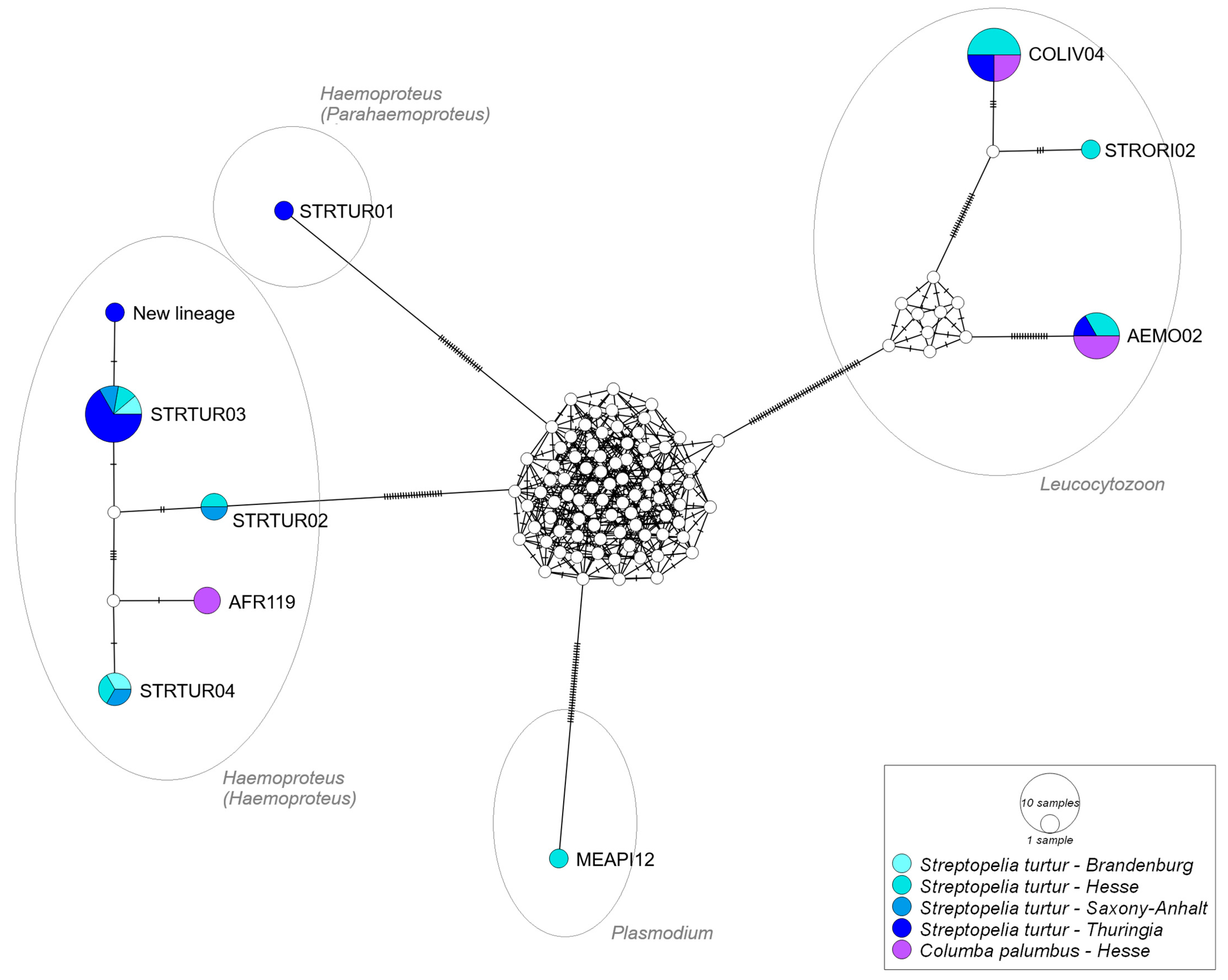 Microorganisms 13 01305 g002