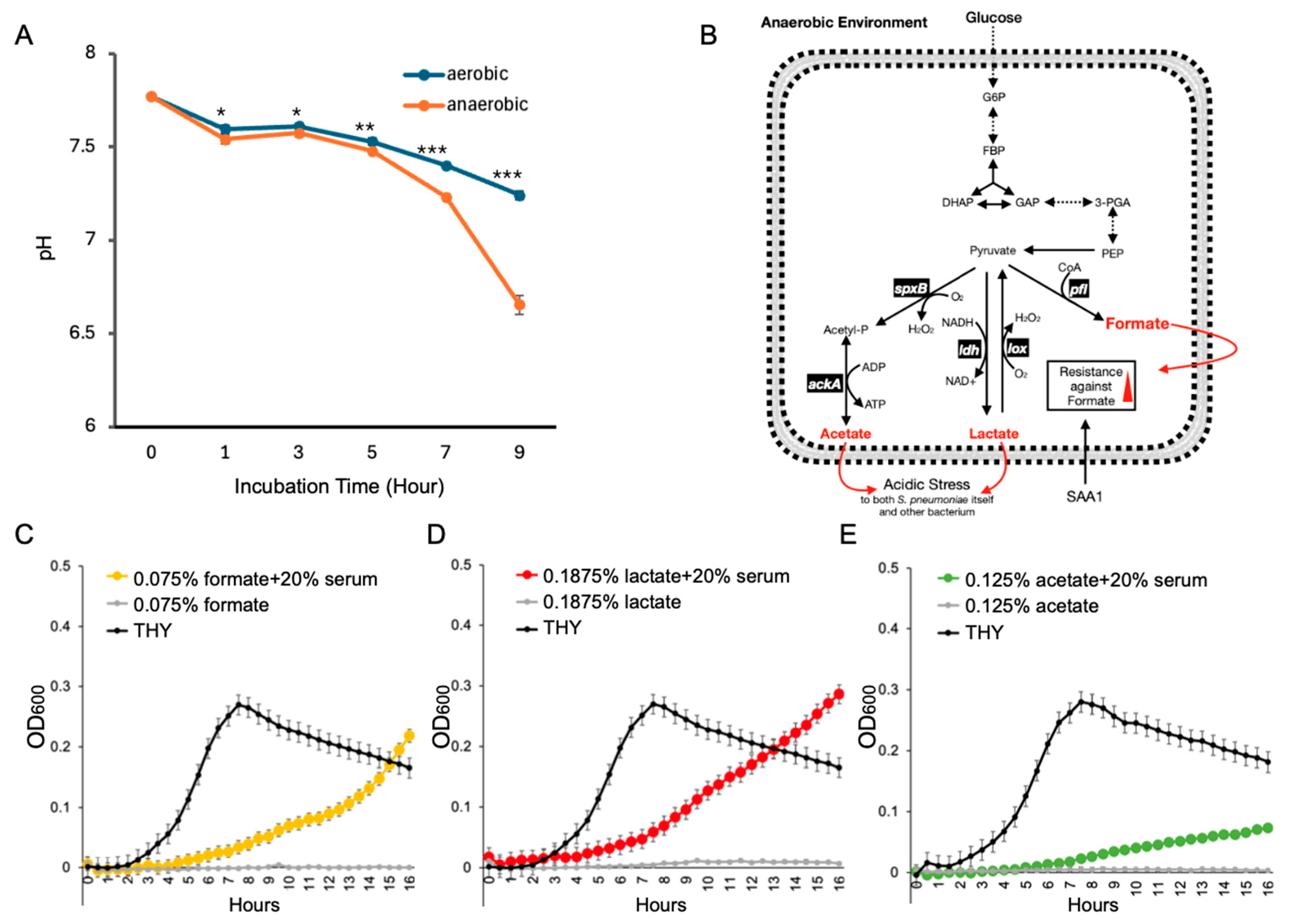 Microorganisms 13 01309 g002 Microorganisms 13 01309 g002