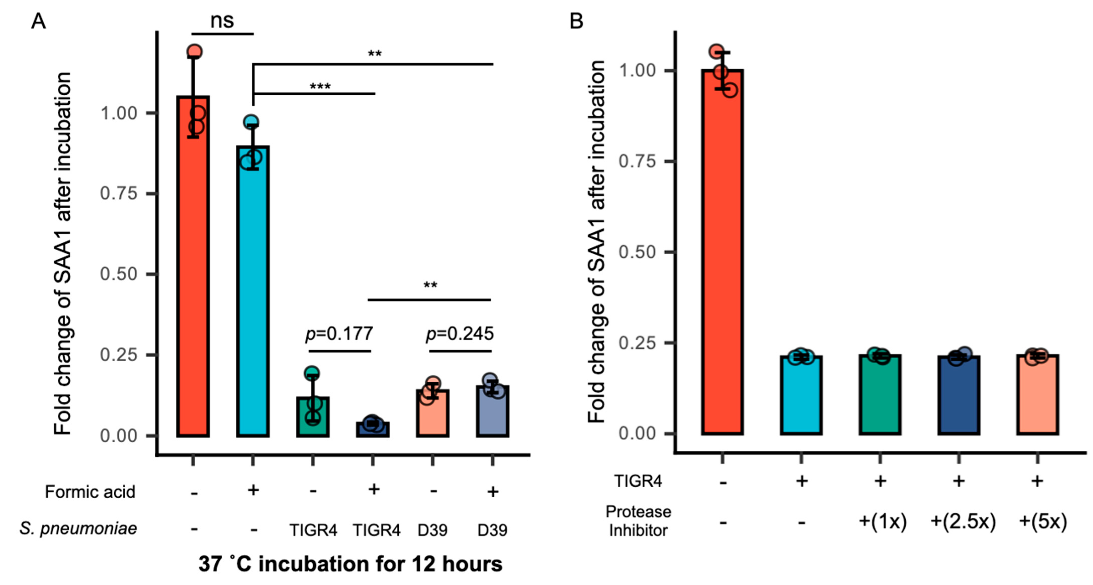 Microorganisms 13 01309 g003 Microorganisms 13 01309 g003