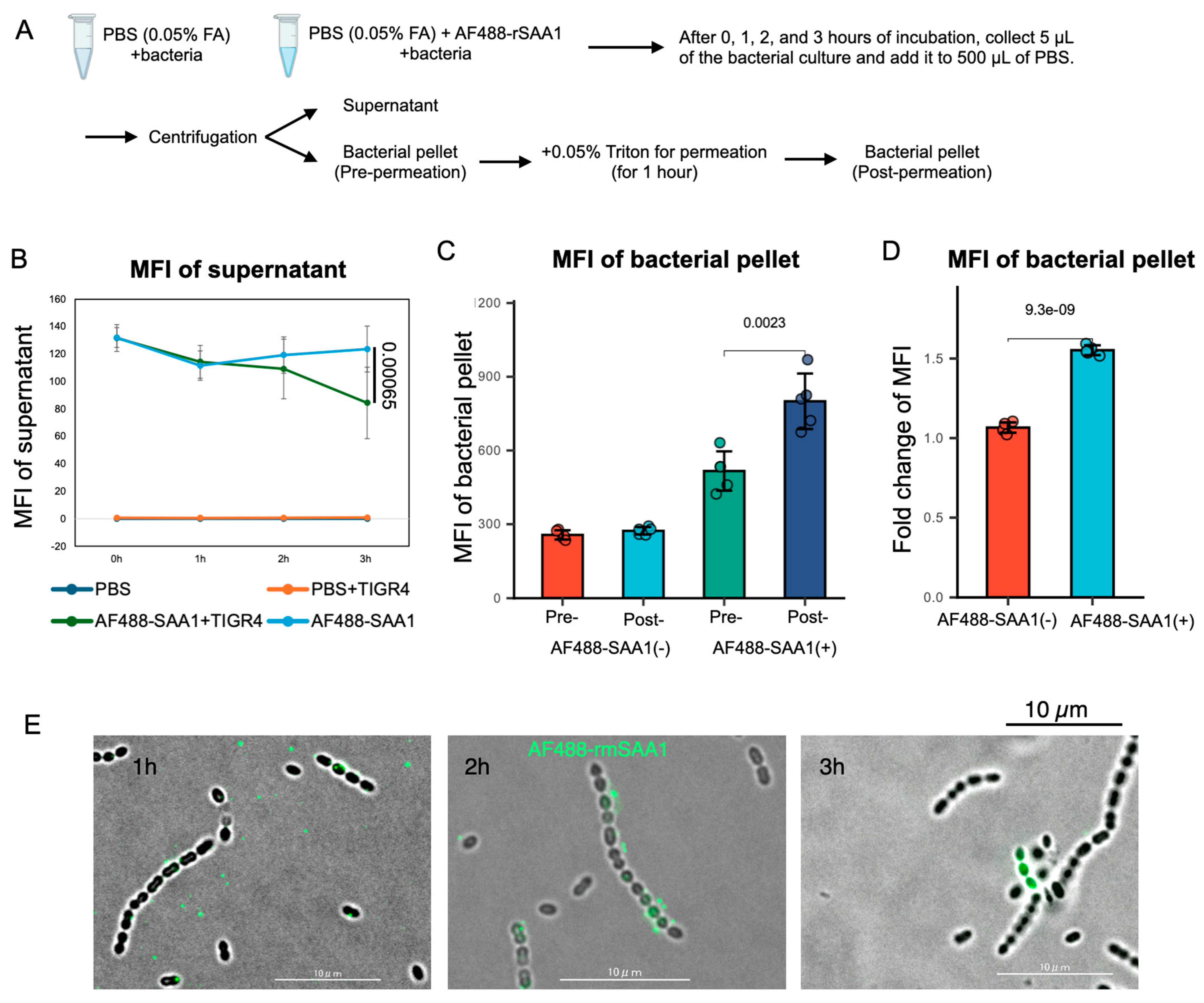 Microorganisms 13 01309 g004 Microorganisms 13 01309 g004