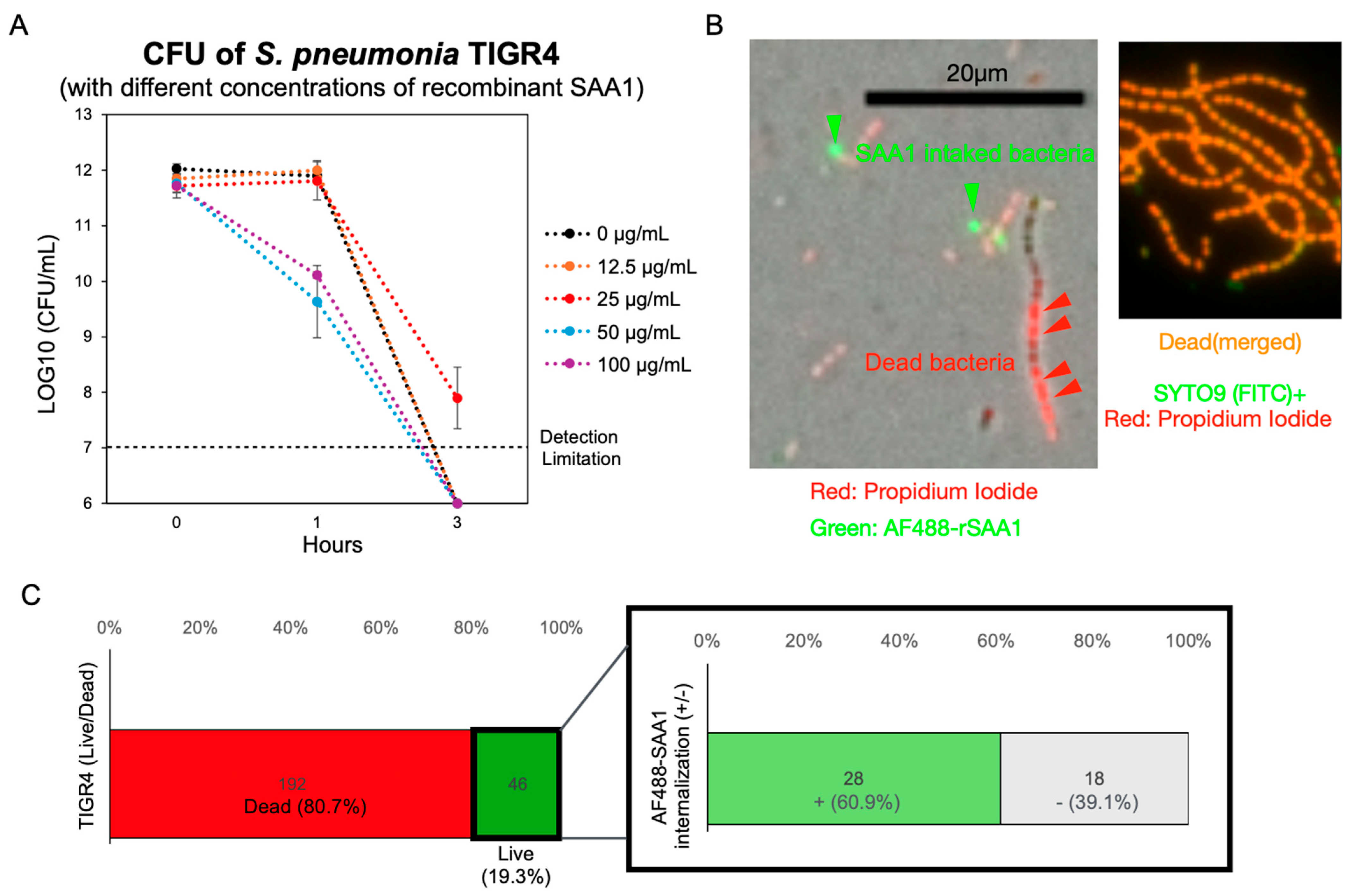 Microorganisms 13 01309 g005 Microorganisms 13 01309 g005