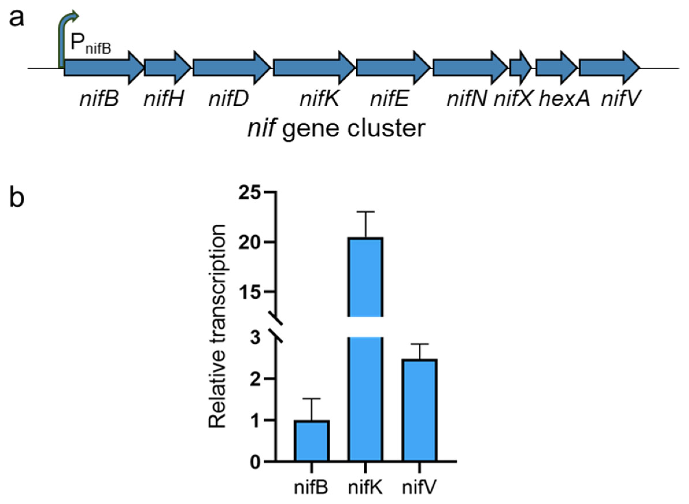 Microorganisms 13 01320 g003