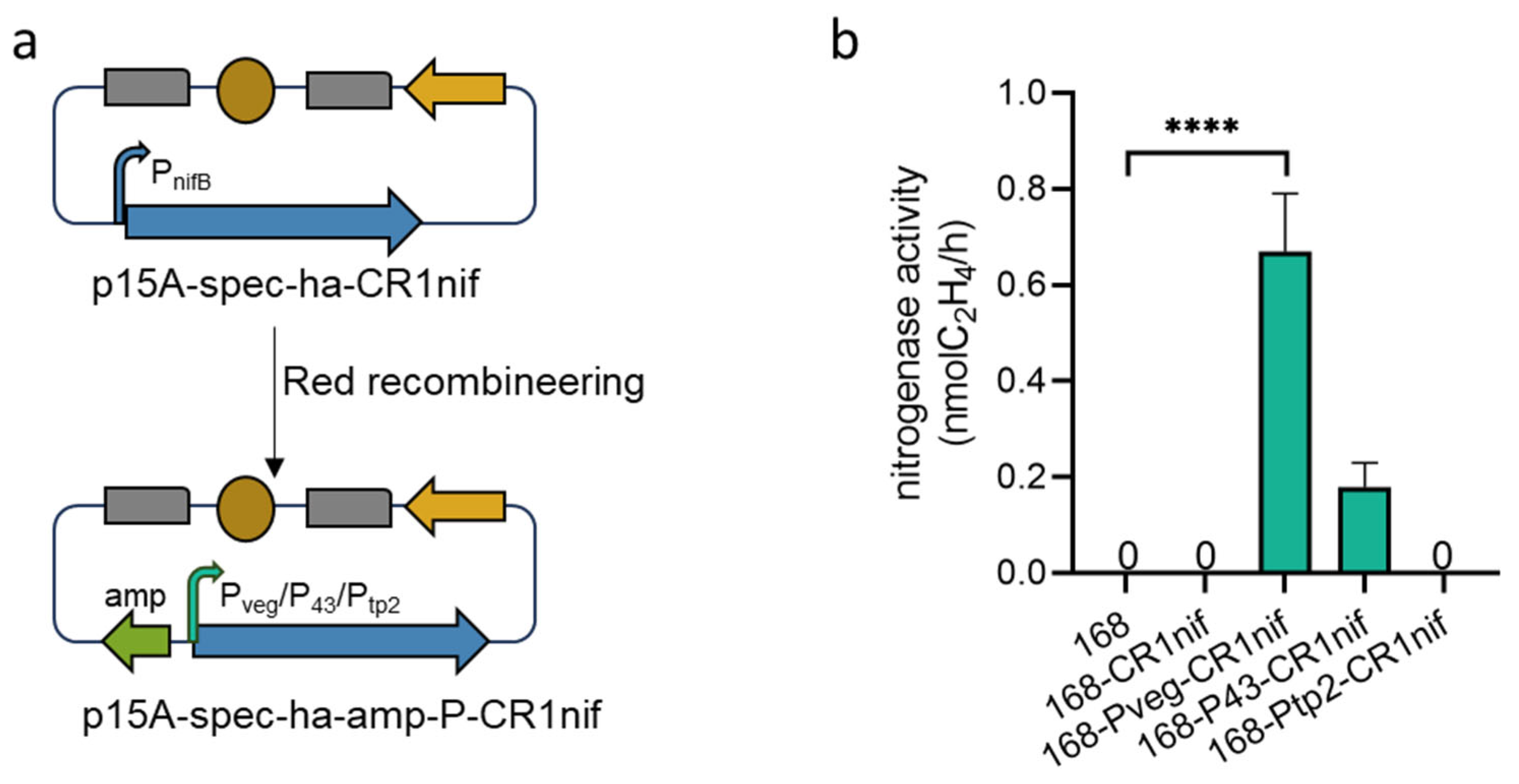 Microorganisms 13 01320 g004