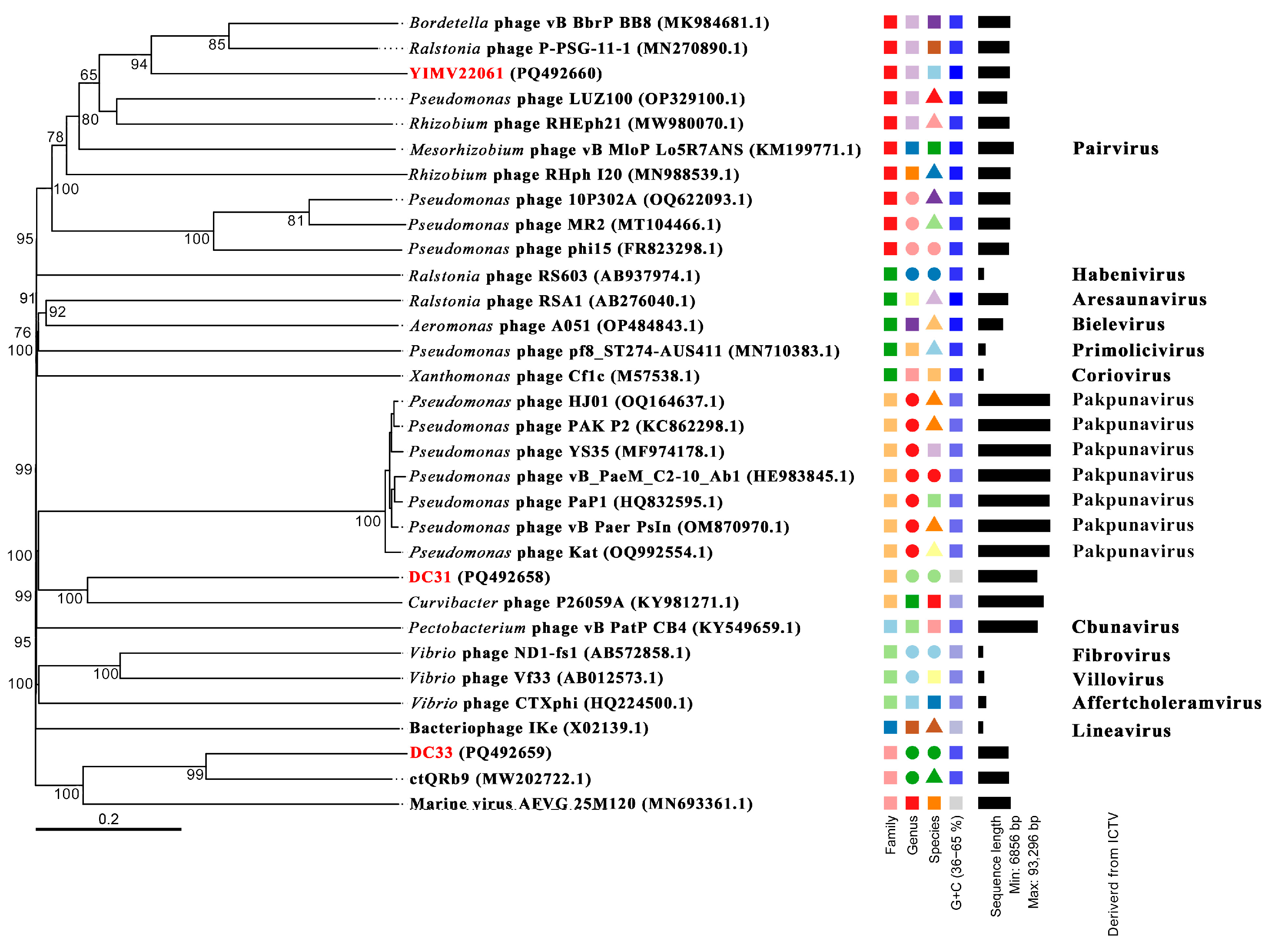 Microorganisms 13 01324 g002