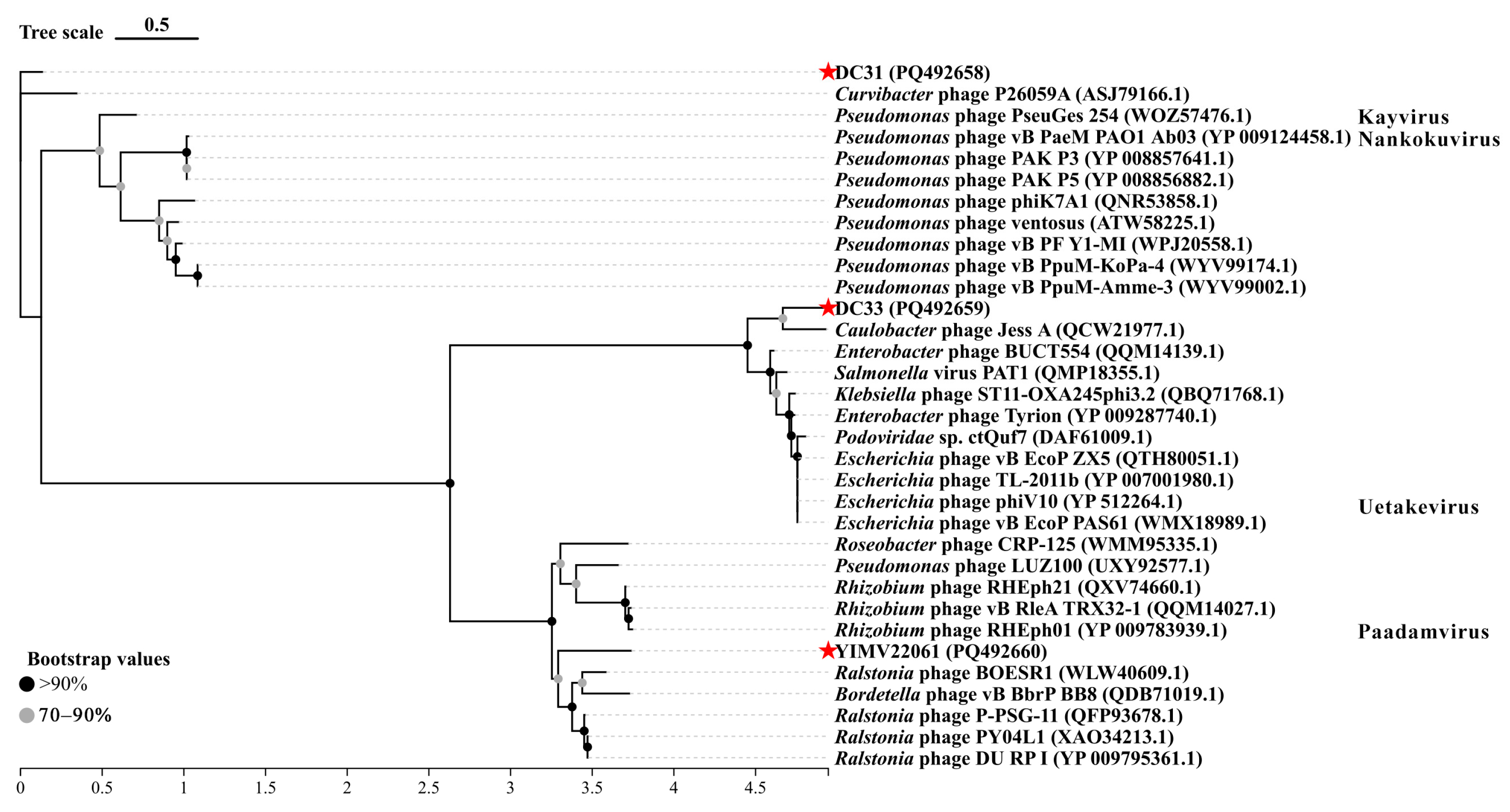 Microorganisms 13 01324 g003