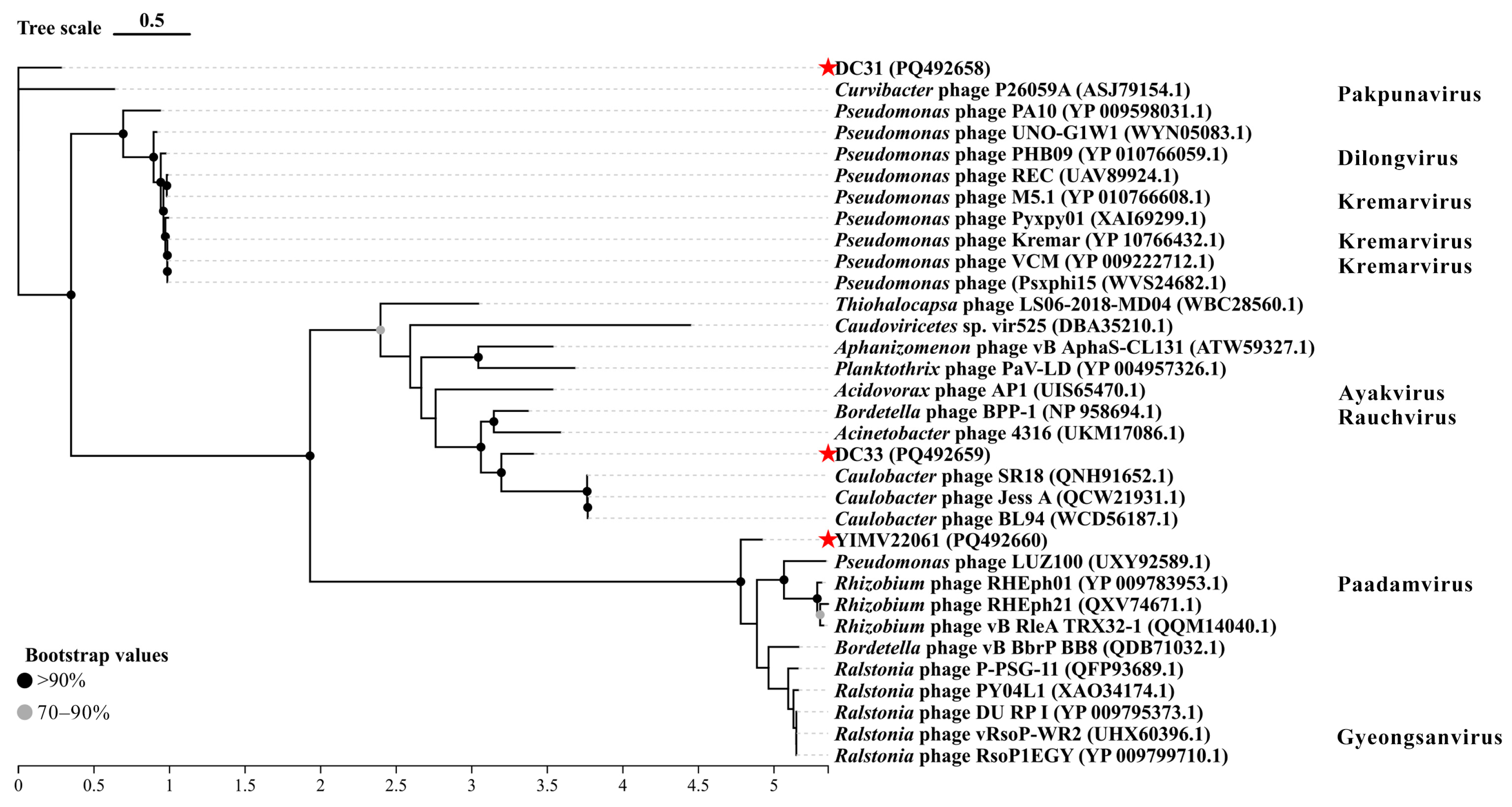 Microorganisms 13 01324 g004