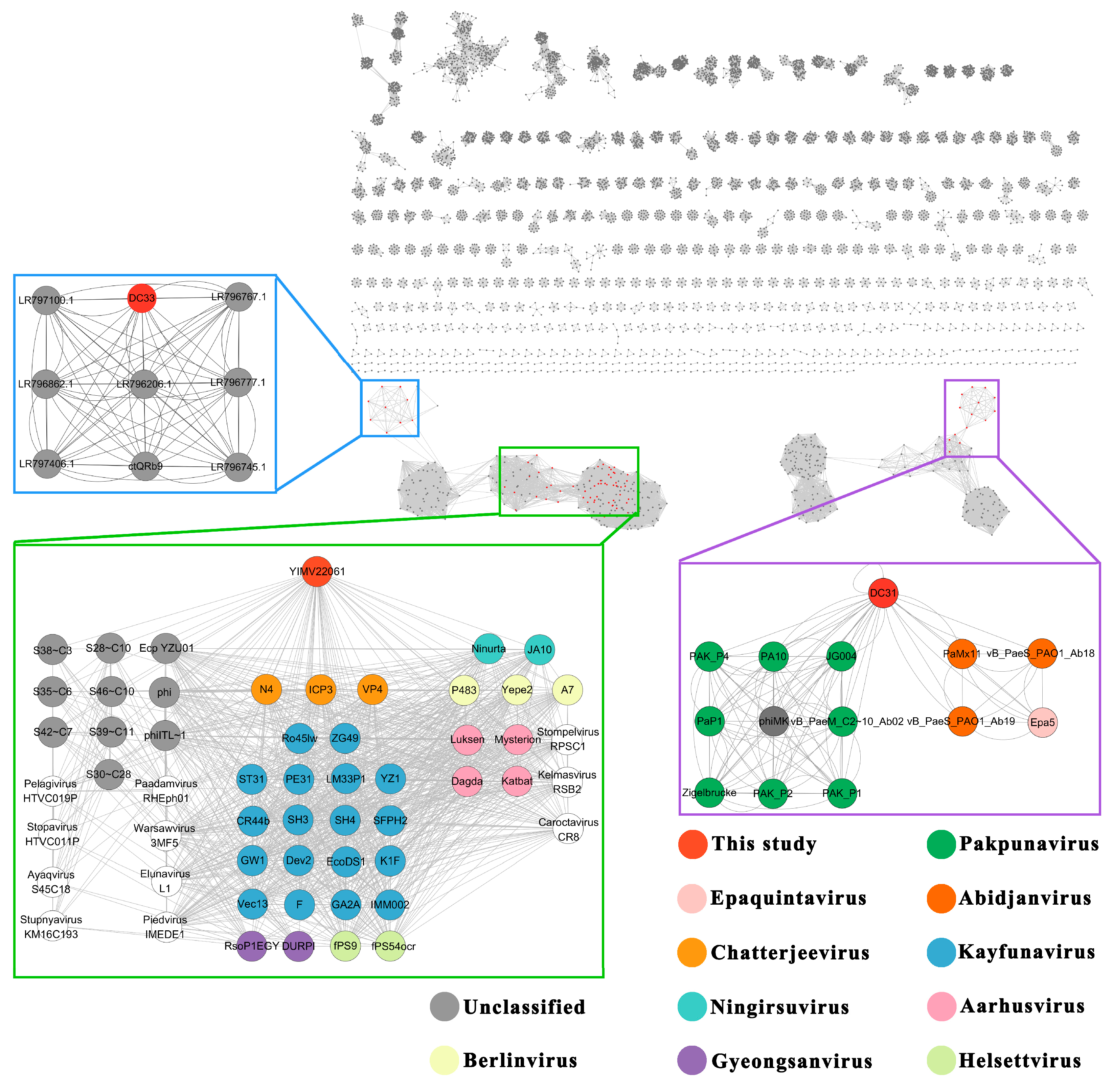 Microorganisms 13 01324 g005