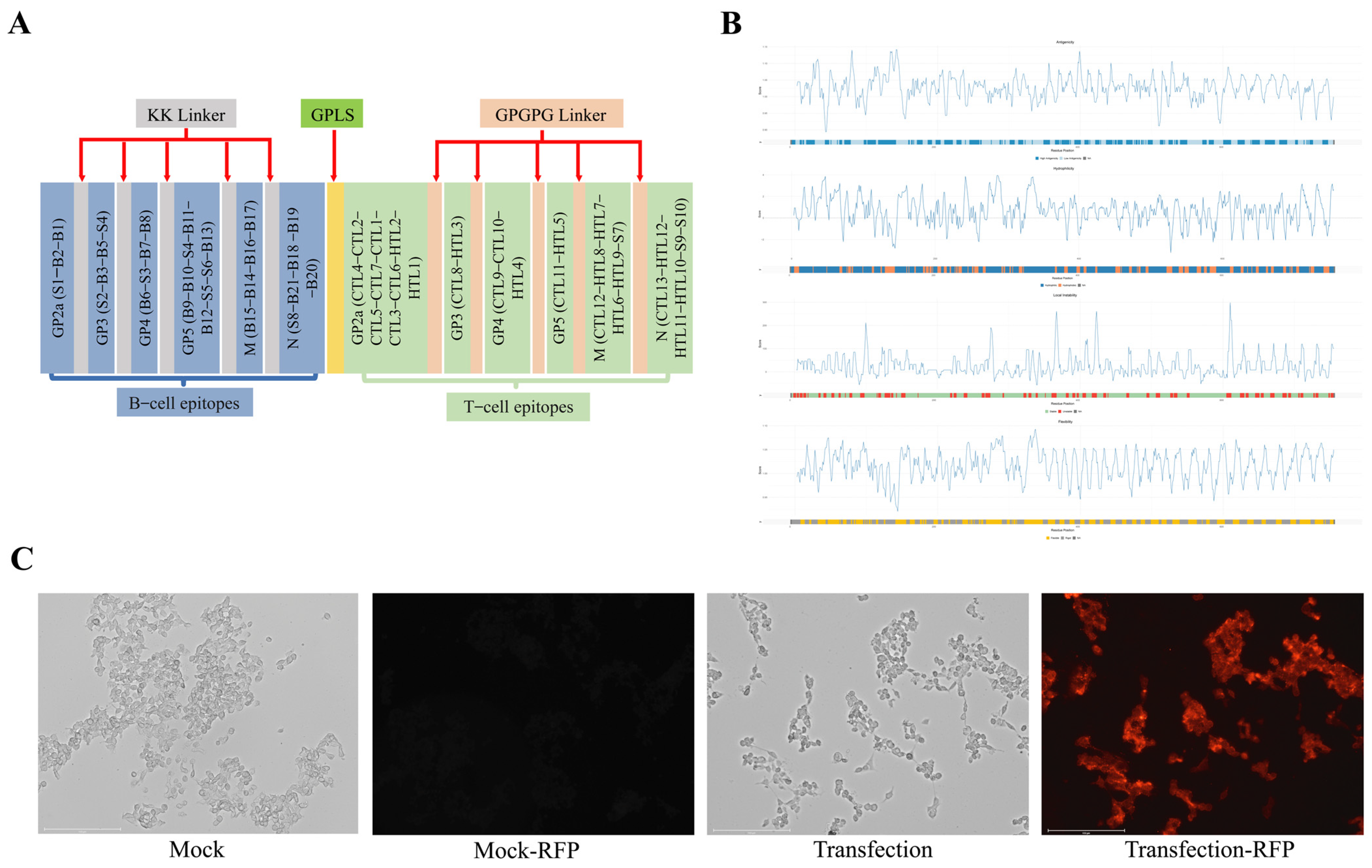 Microorganisms 13 01332 g005