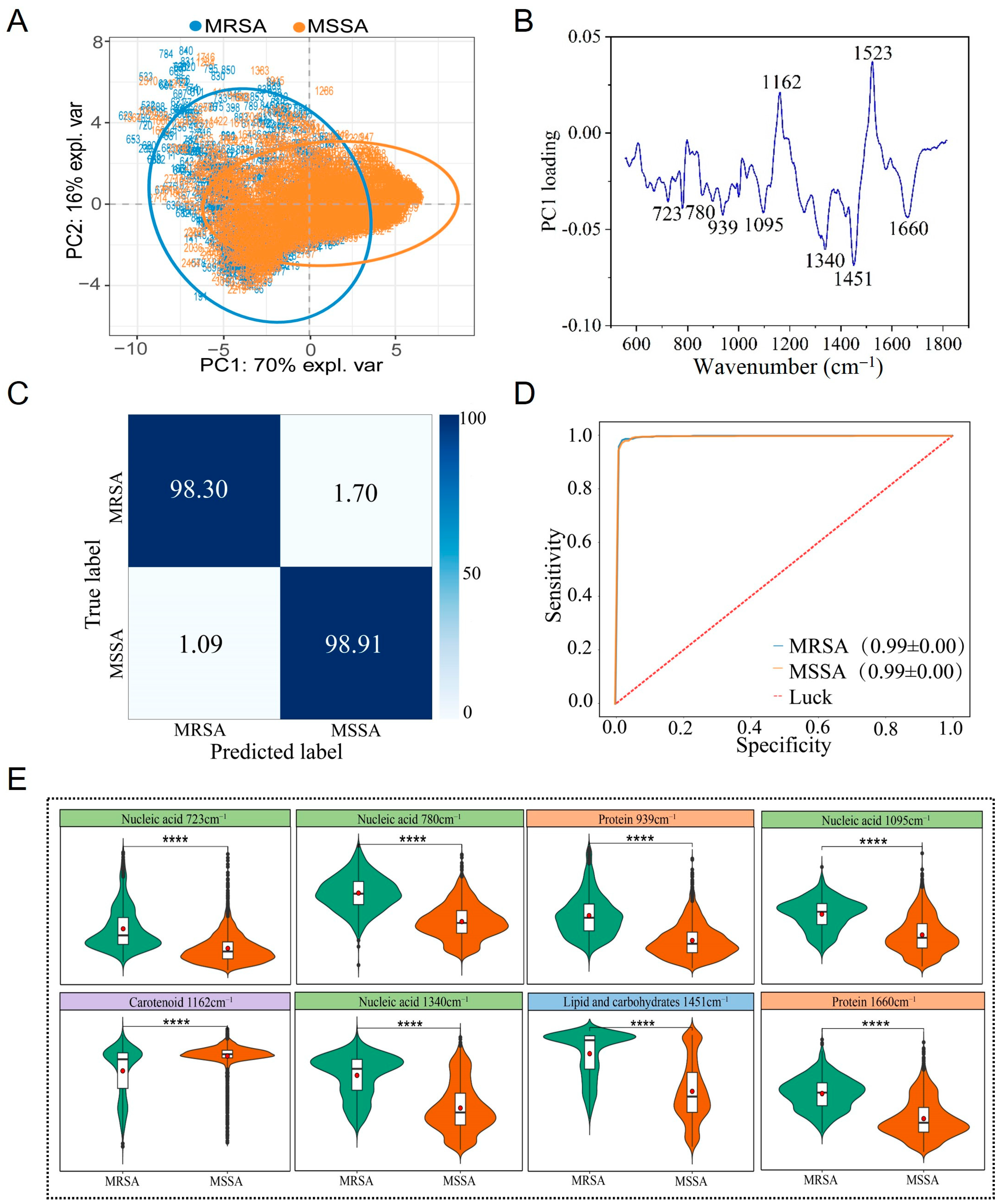 Microorganisms 13 01333 g004
