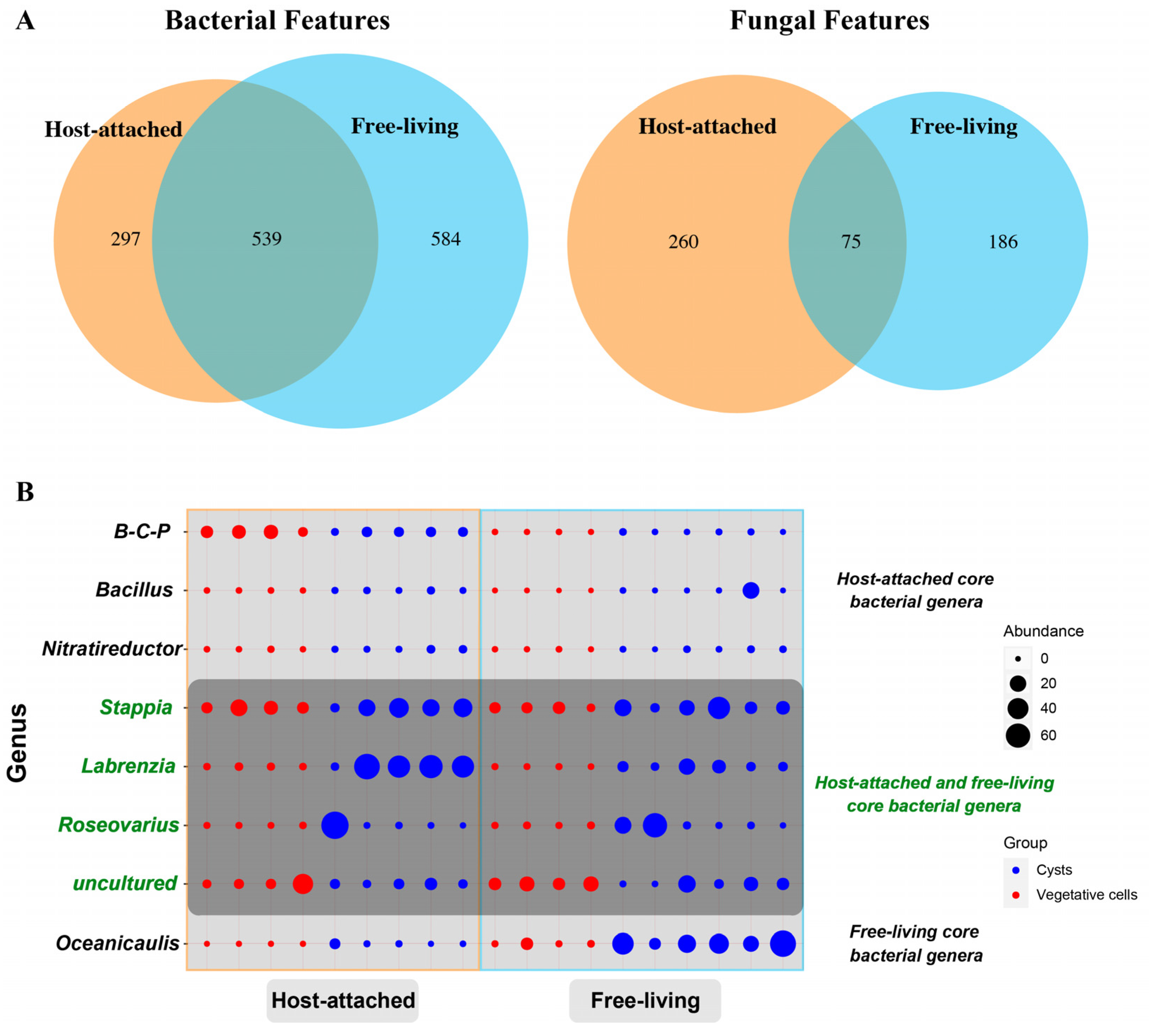 Microorganisms 13 01340 g002