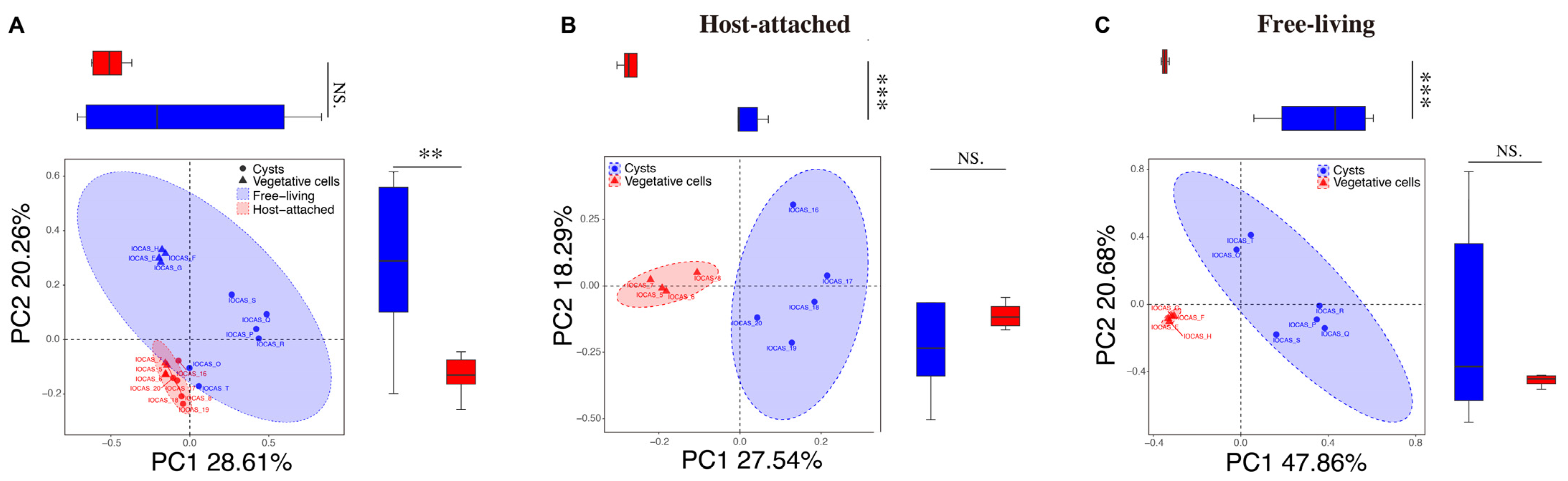 Microorganisms 13 01340 g003