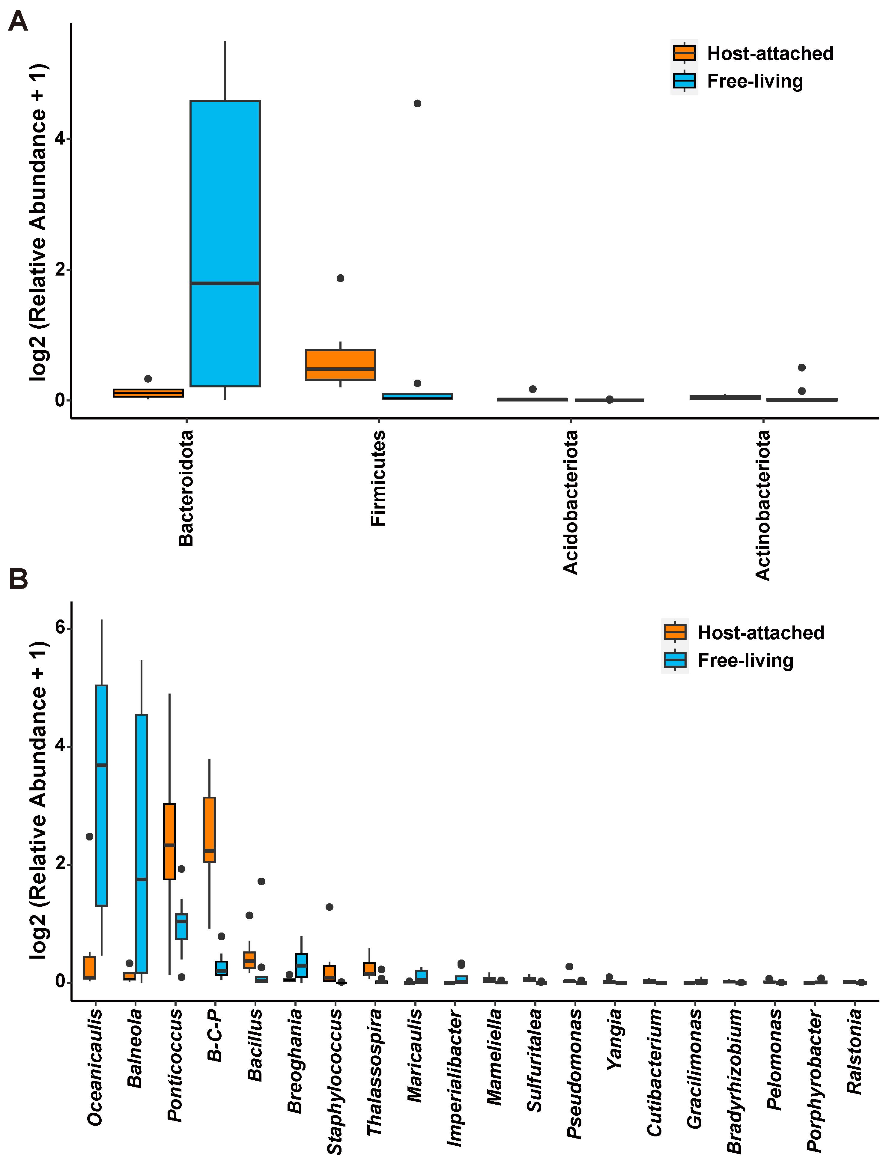 Microorganisms 13 01340 g004