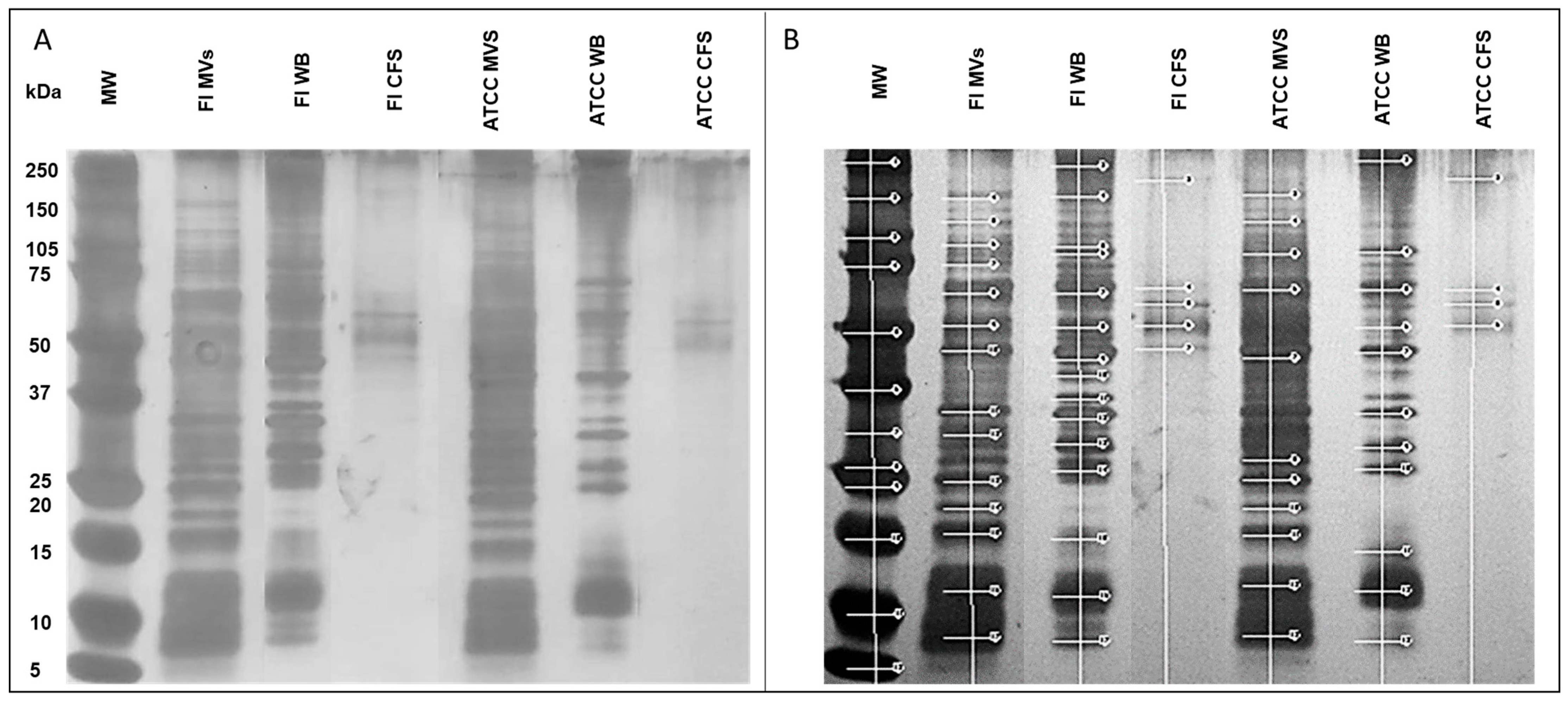 Microorganisms 13 01341 g002