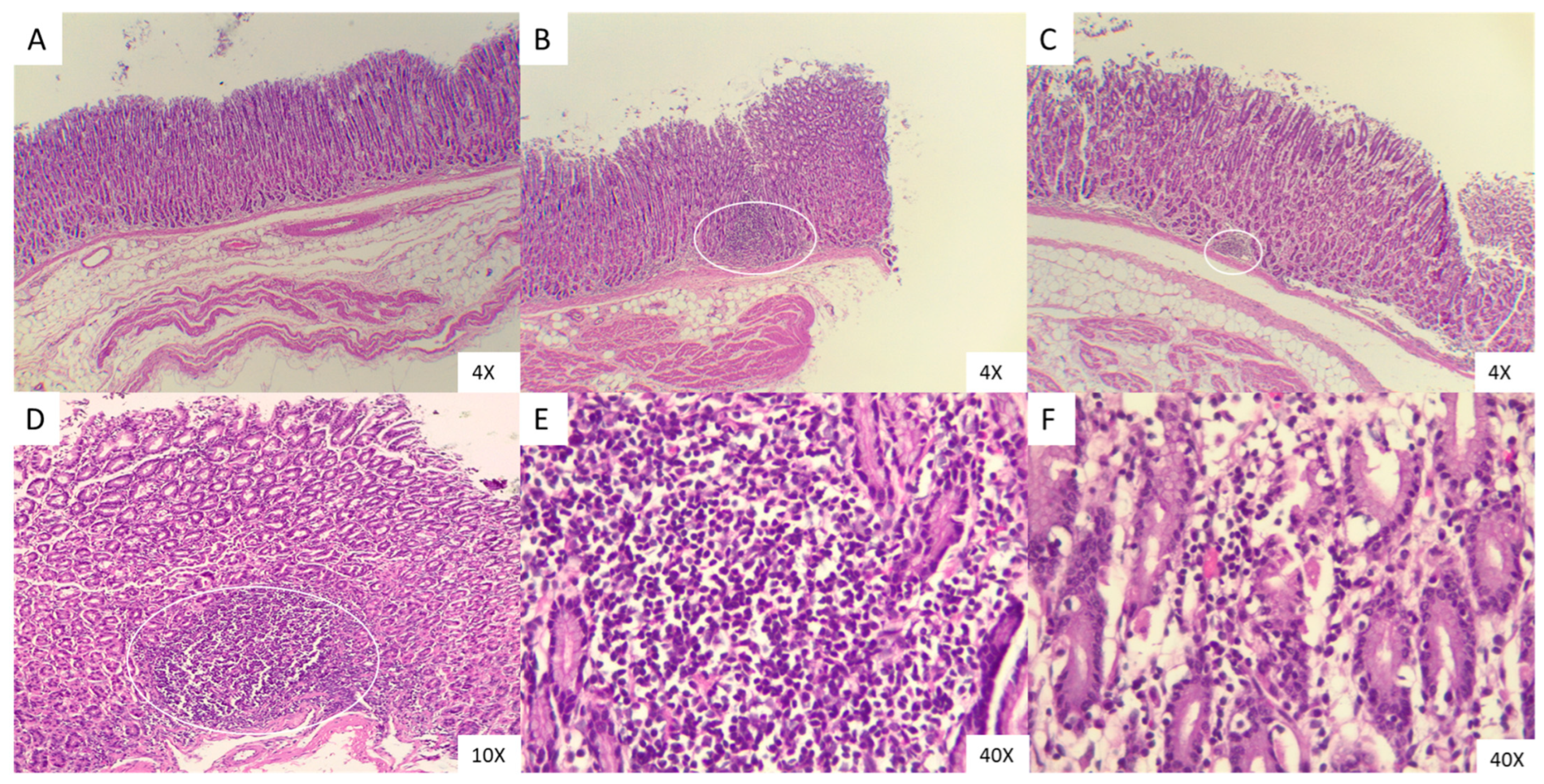 Microorganisms 13 01341 g004