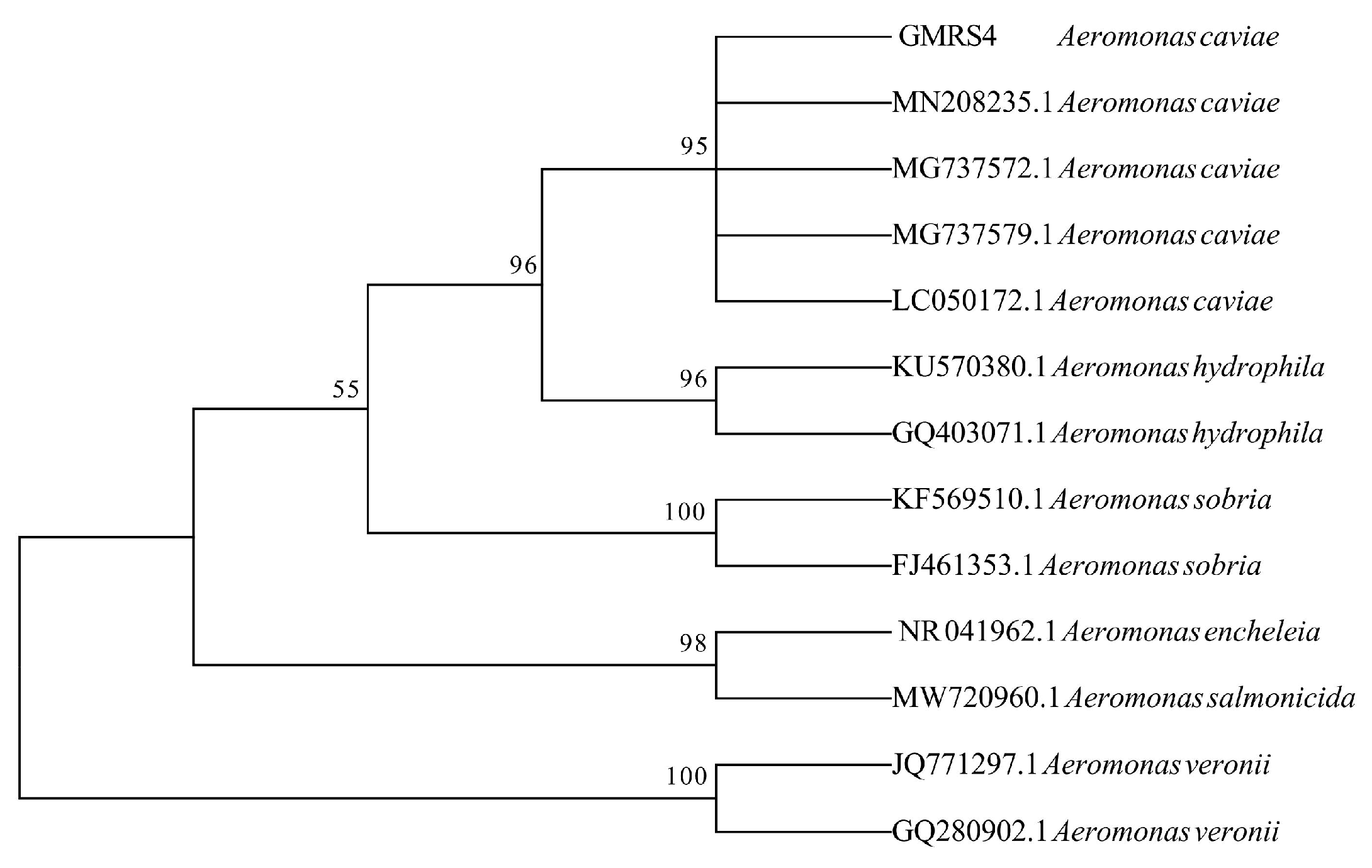 Microorganisms 13 01343 g003