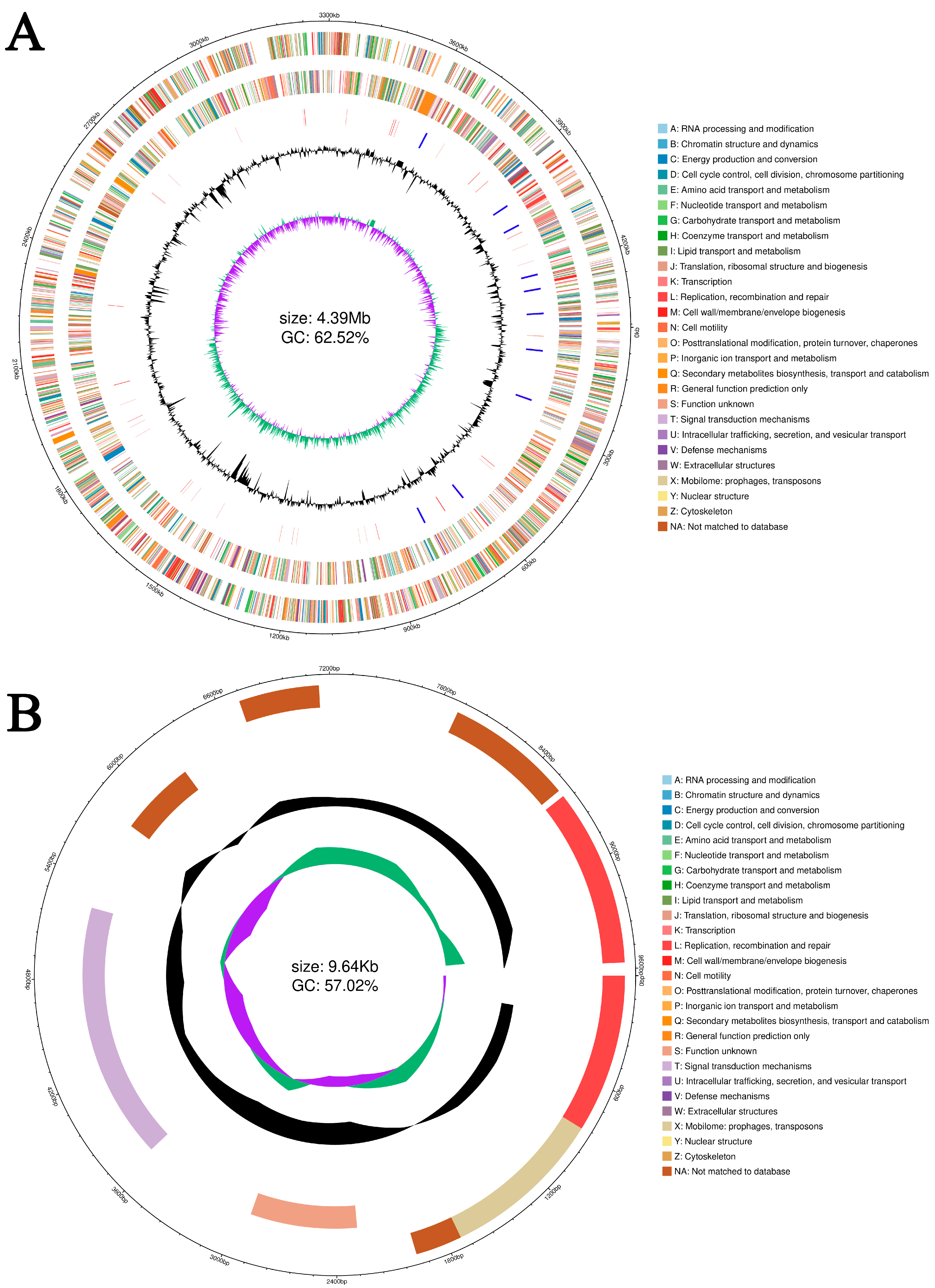 Microorganisms 13 01343 g007