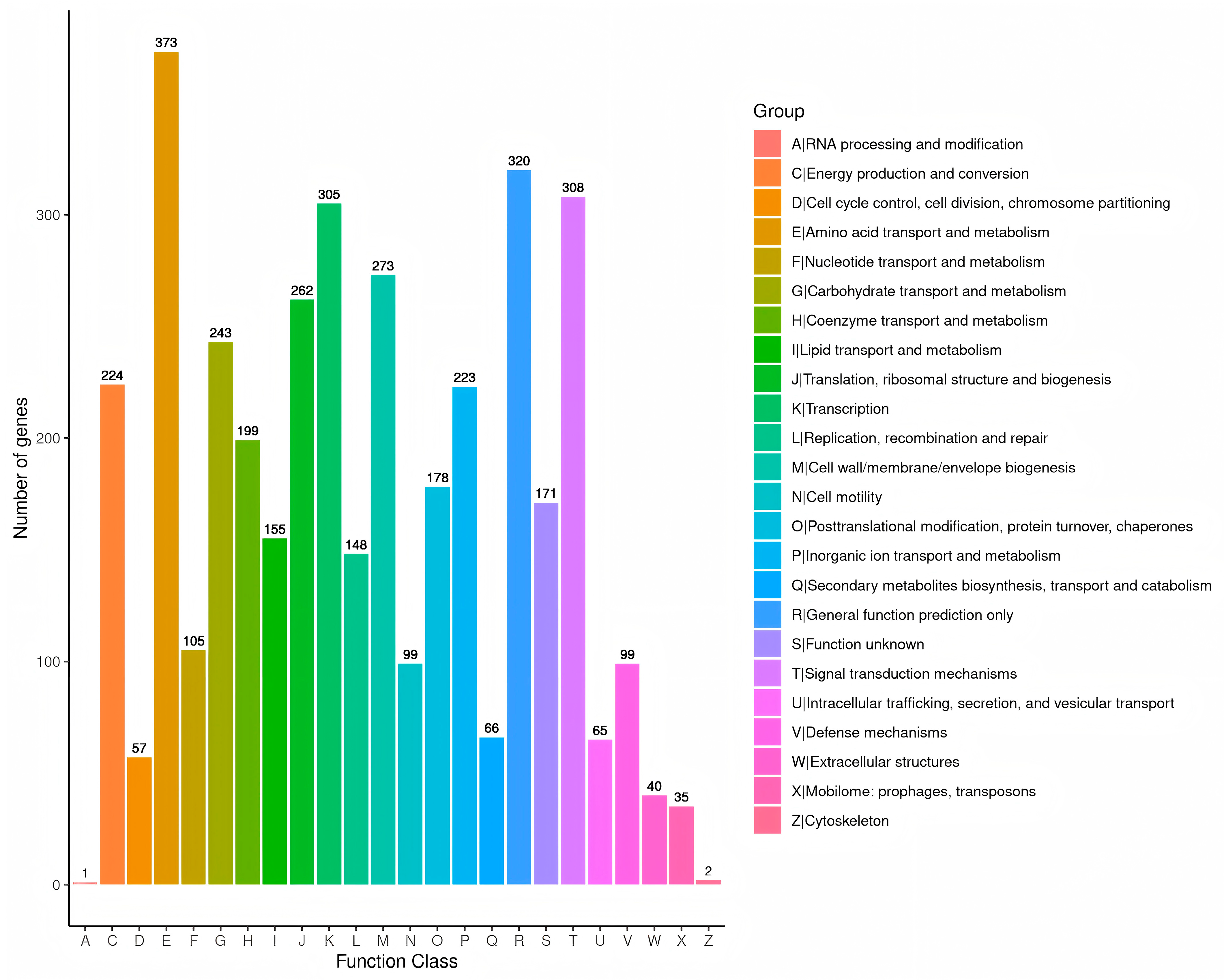 Microorganisms 13 01343 g008