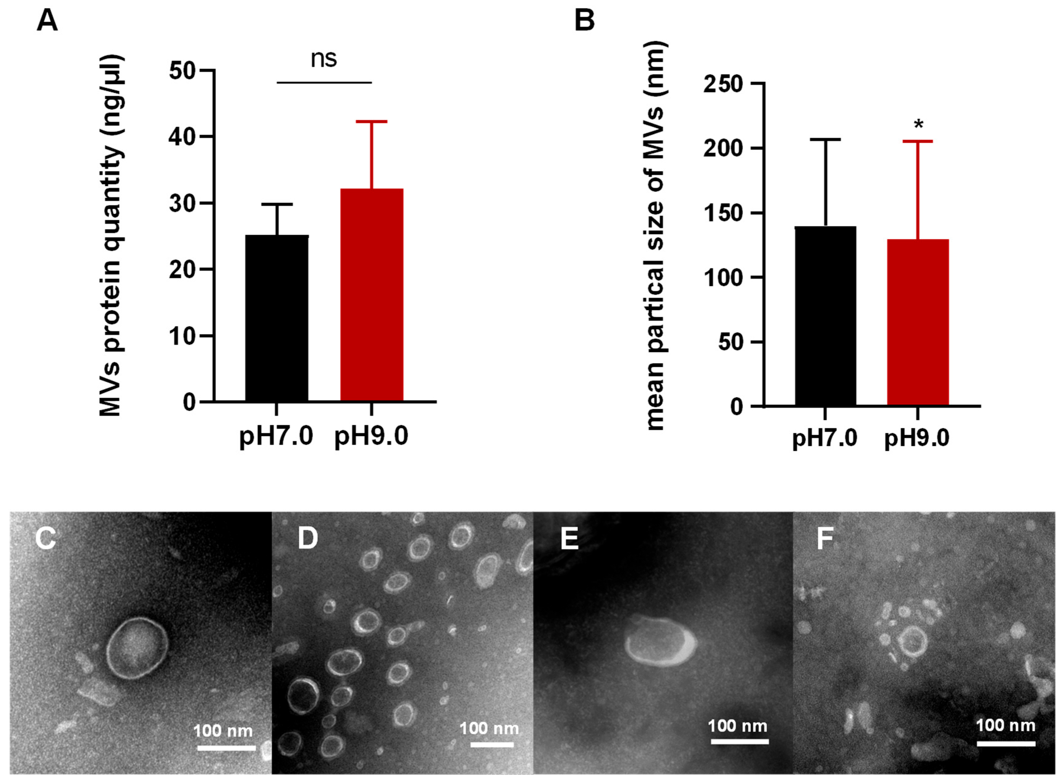 Microorganisms 13 01344 g001