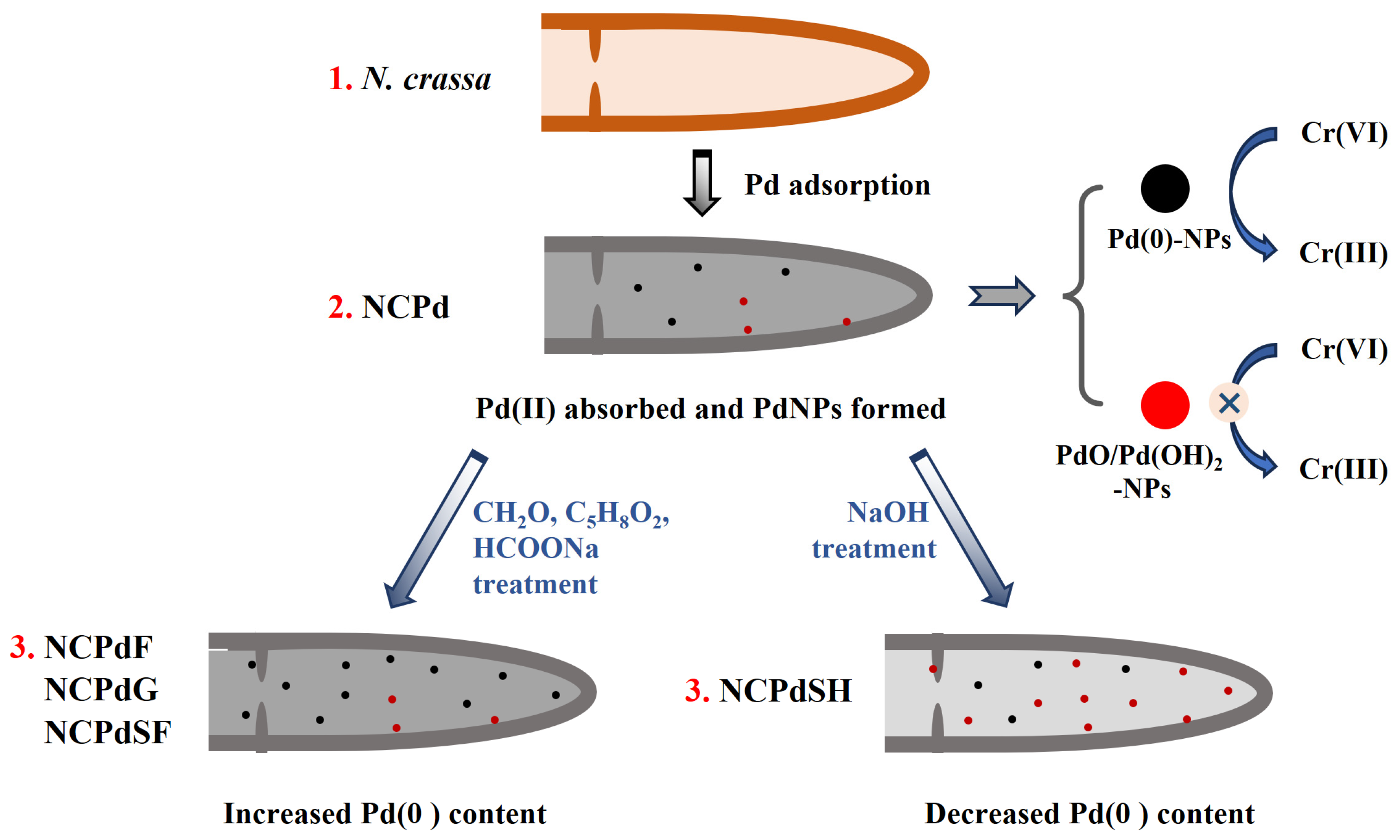 Microorganisms 13 01346 g007